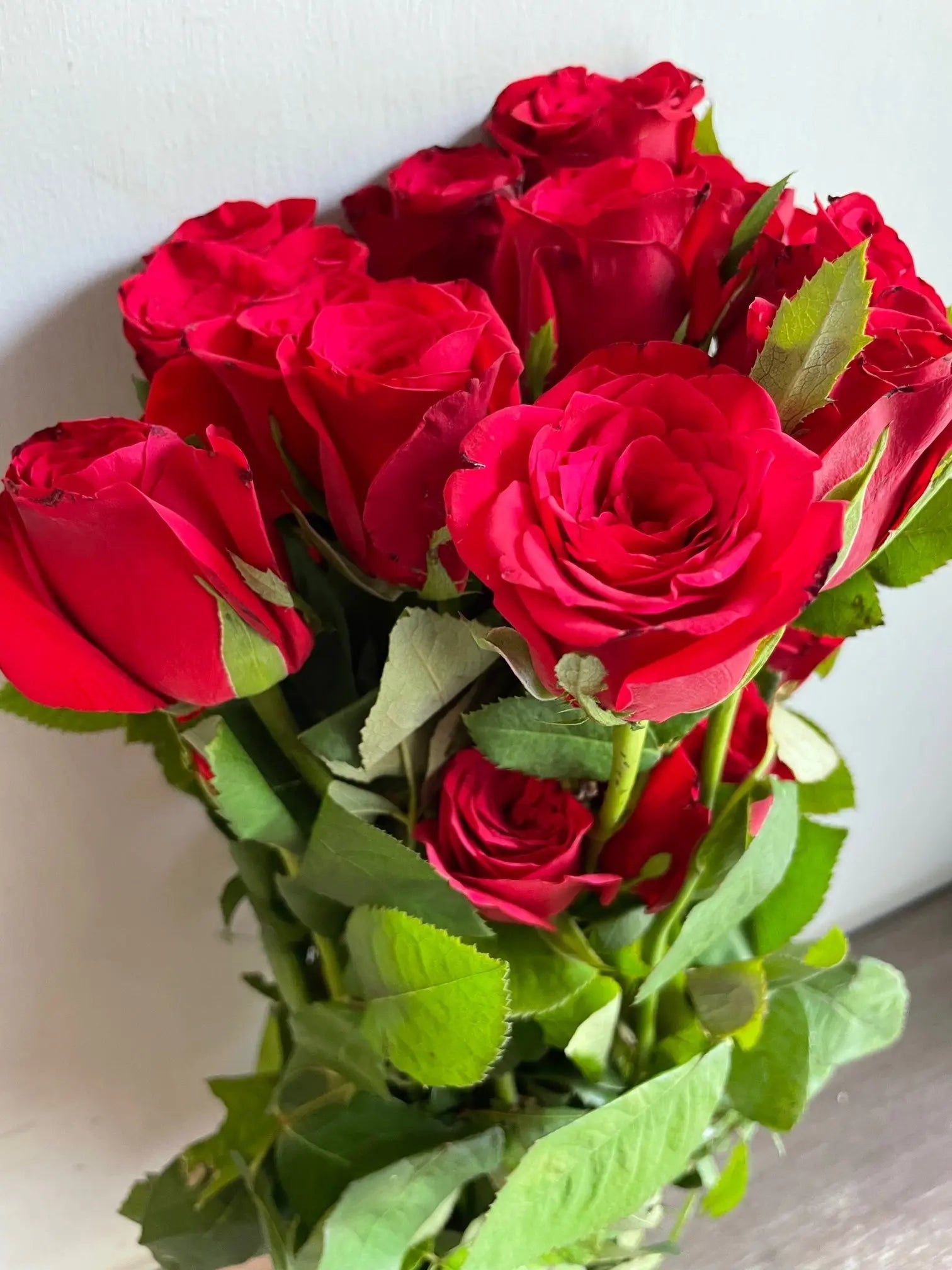 Rose 1magnolialane