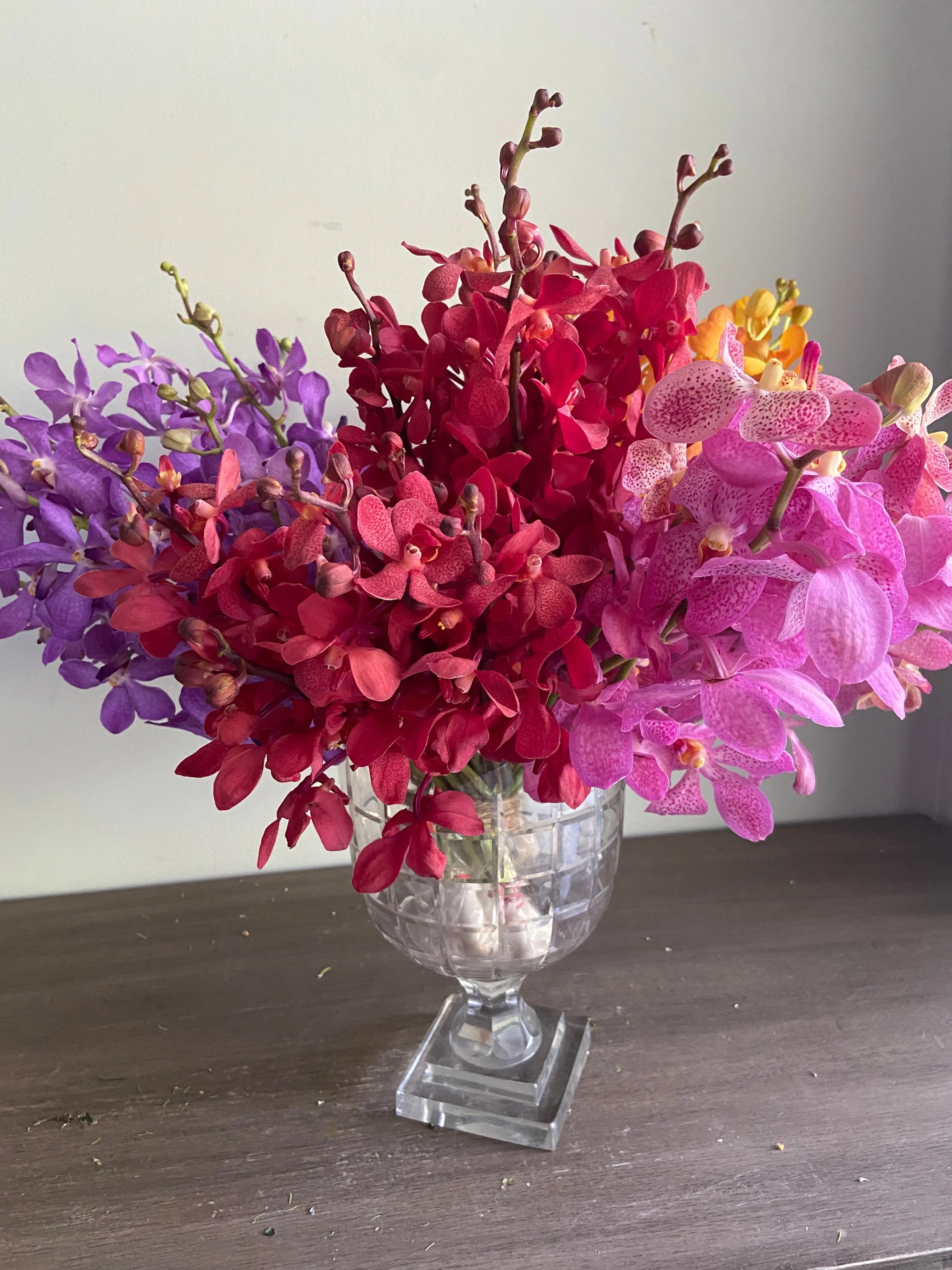 Mokara Orchid 1magnolialane