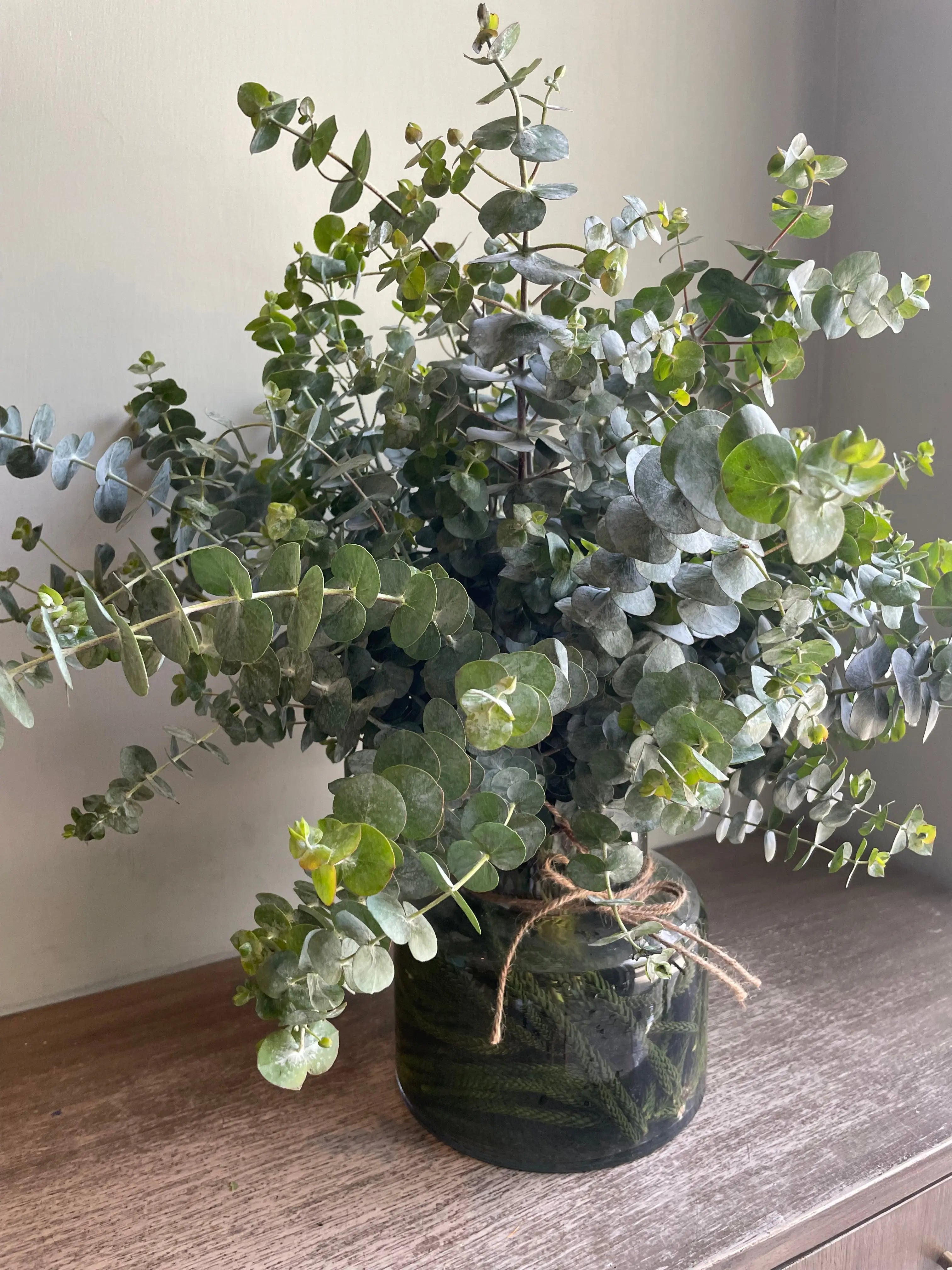 Greene Street 1magnolialane