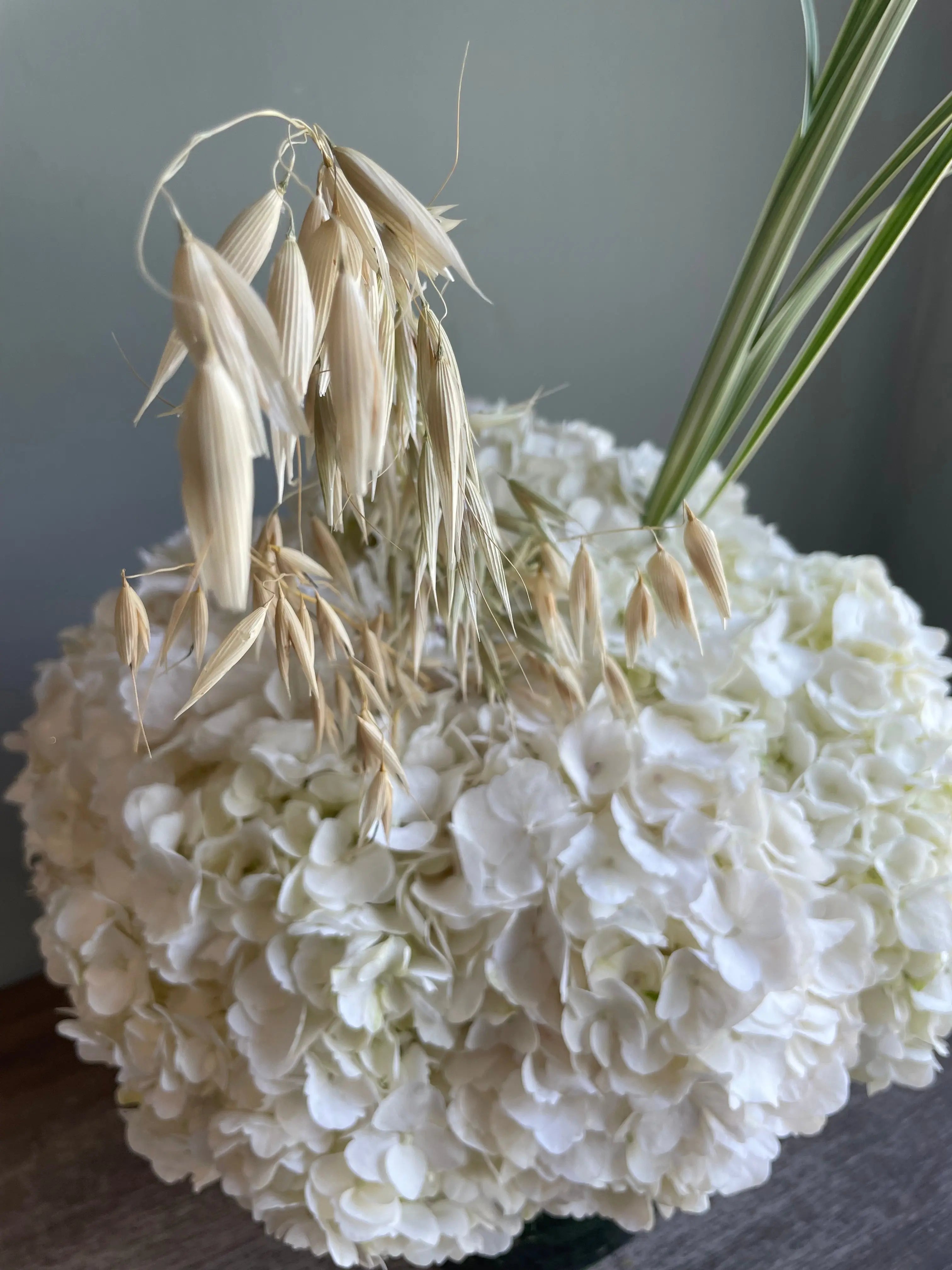 Havana Mama 1magnolialane