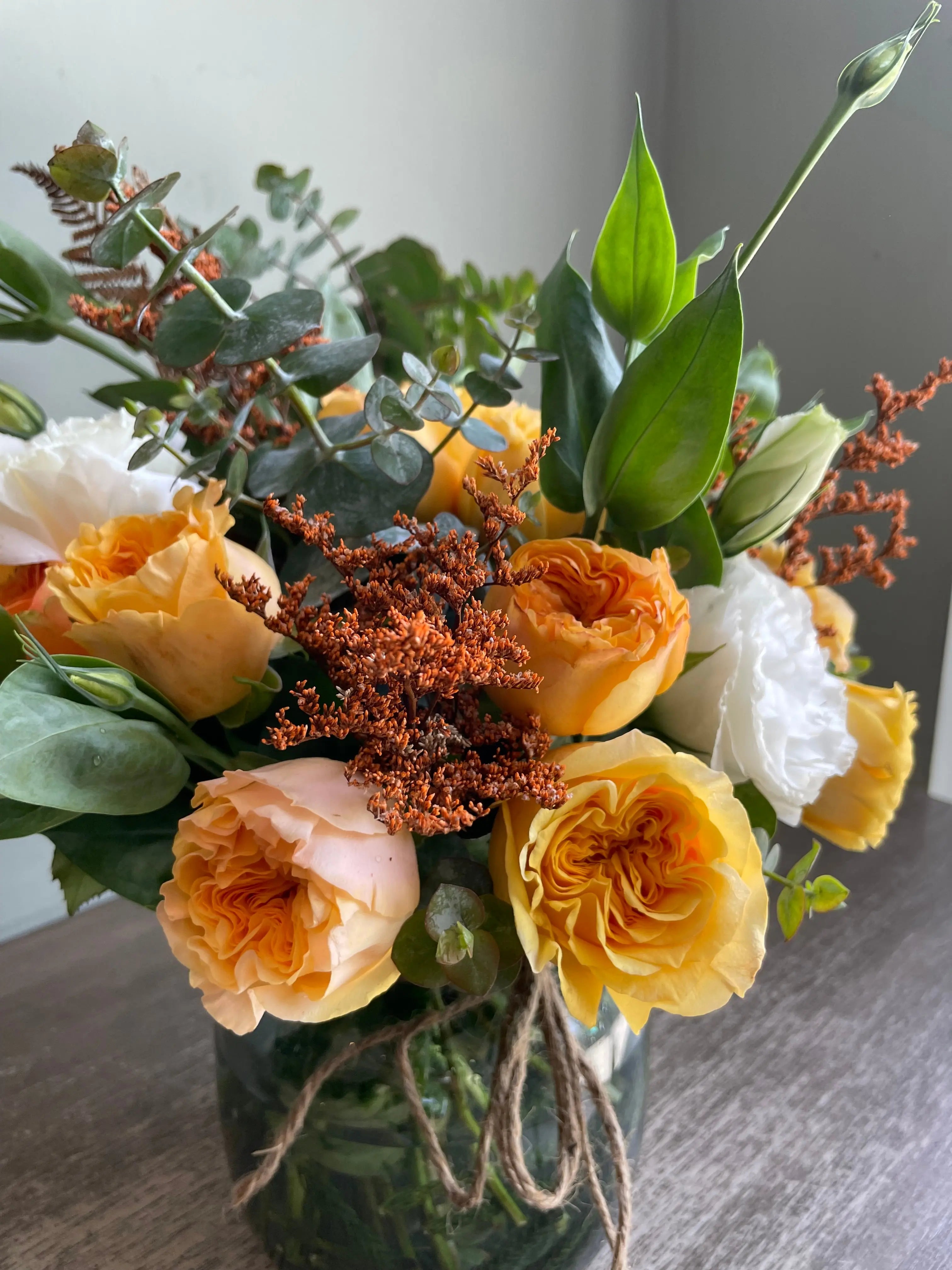 Catalina 1magnolialane