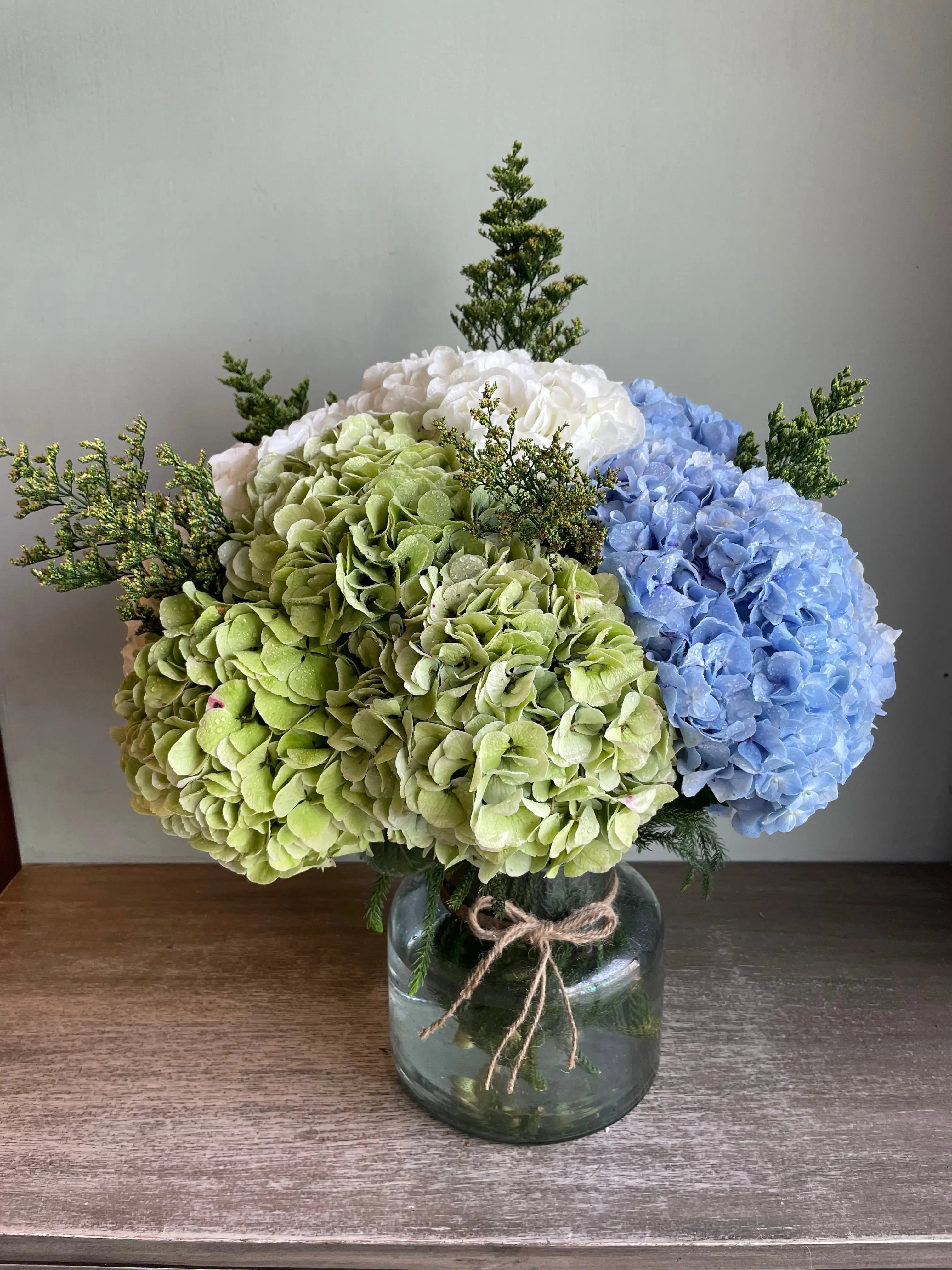 Ajisai 1magnolialane