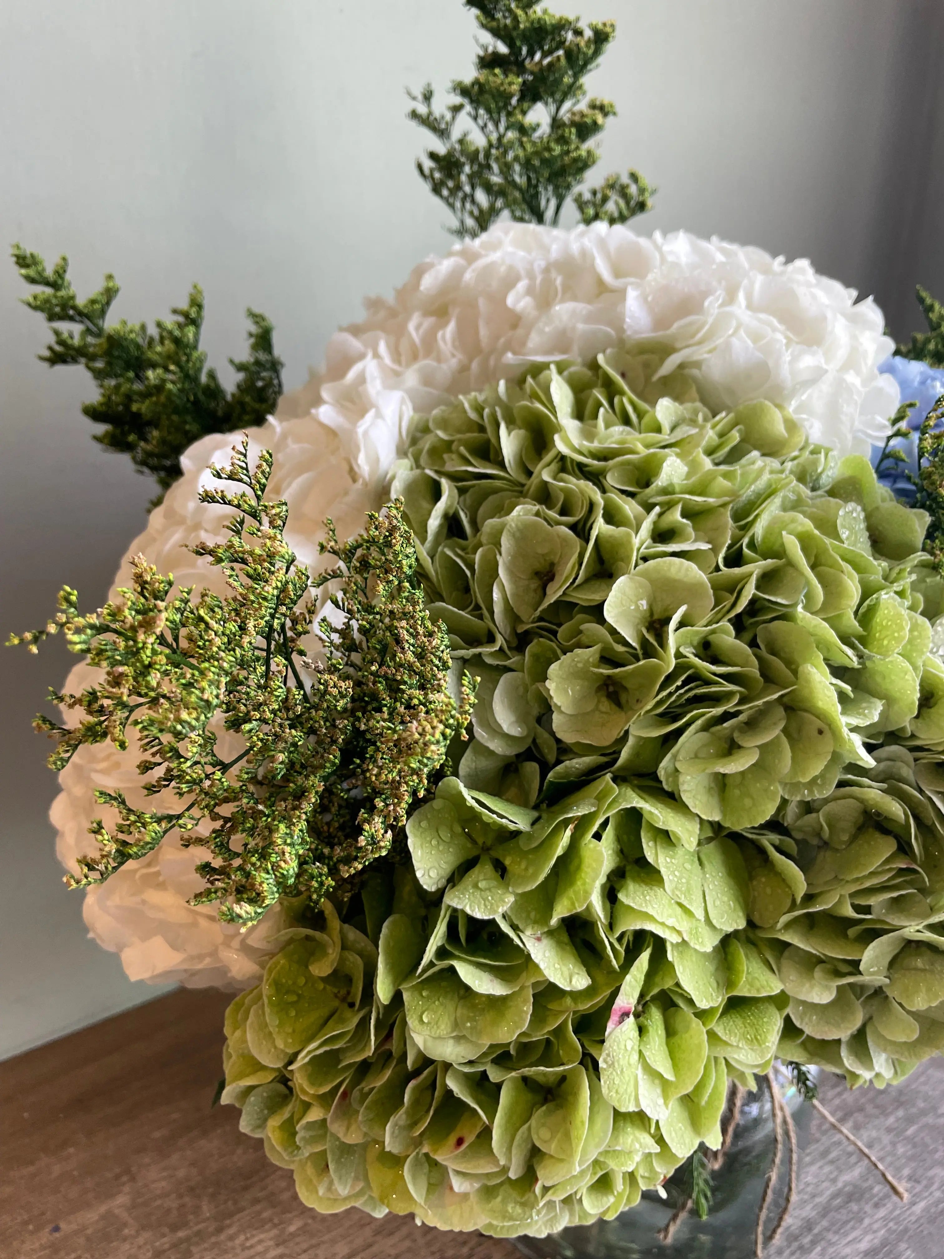 Ajisai 1magnolialane