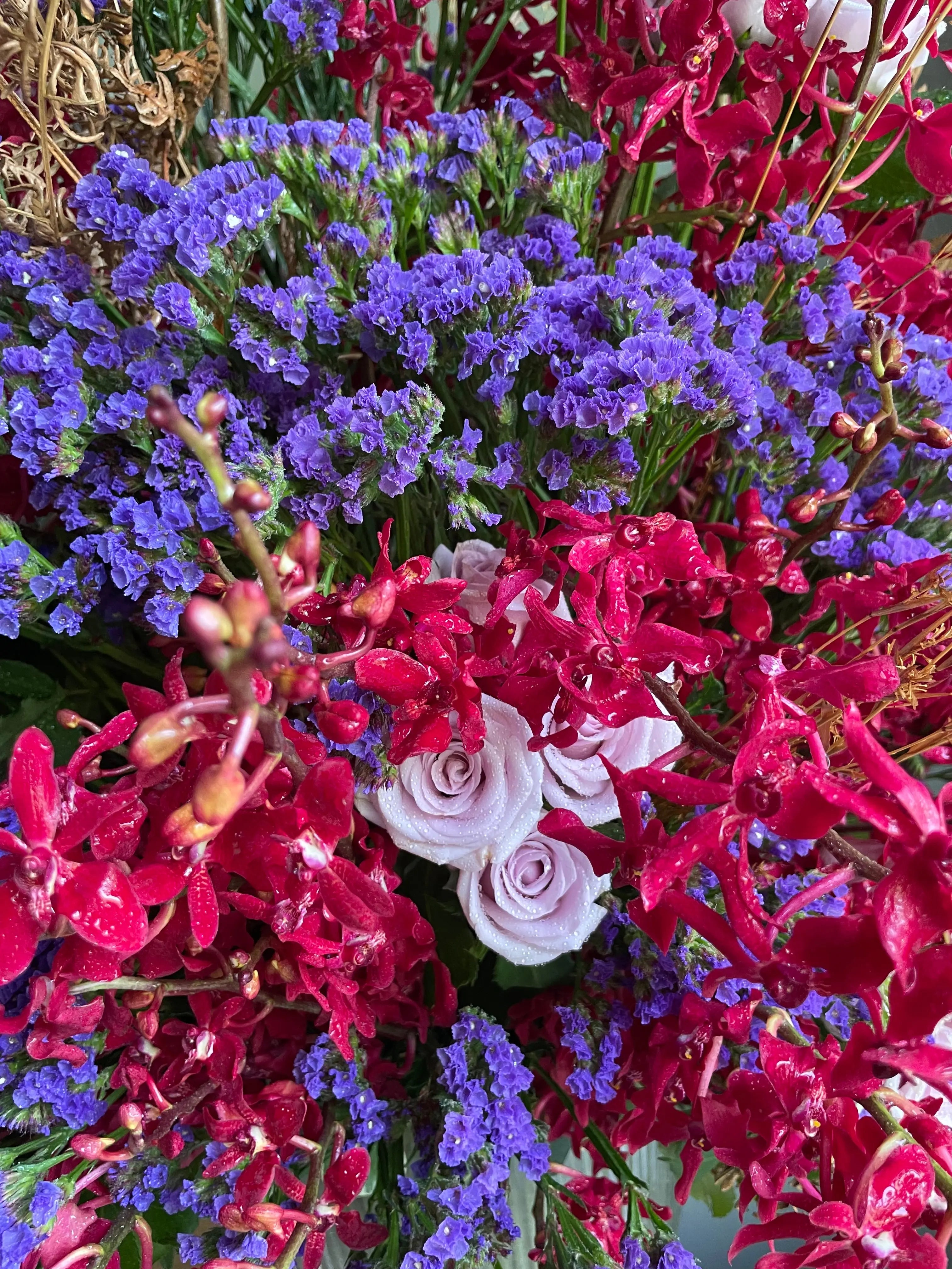 Hemingway 1magnolialane