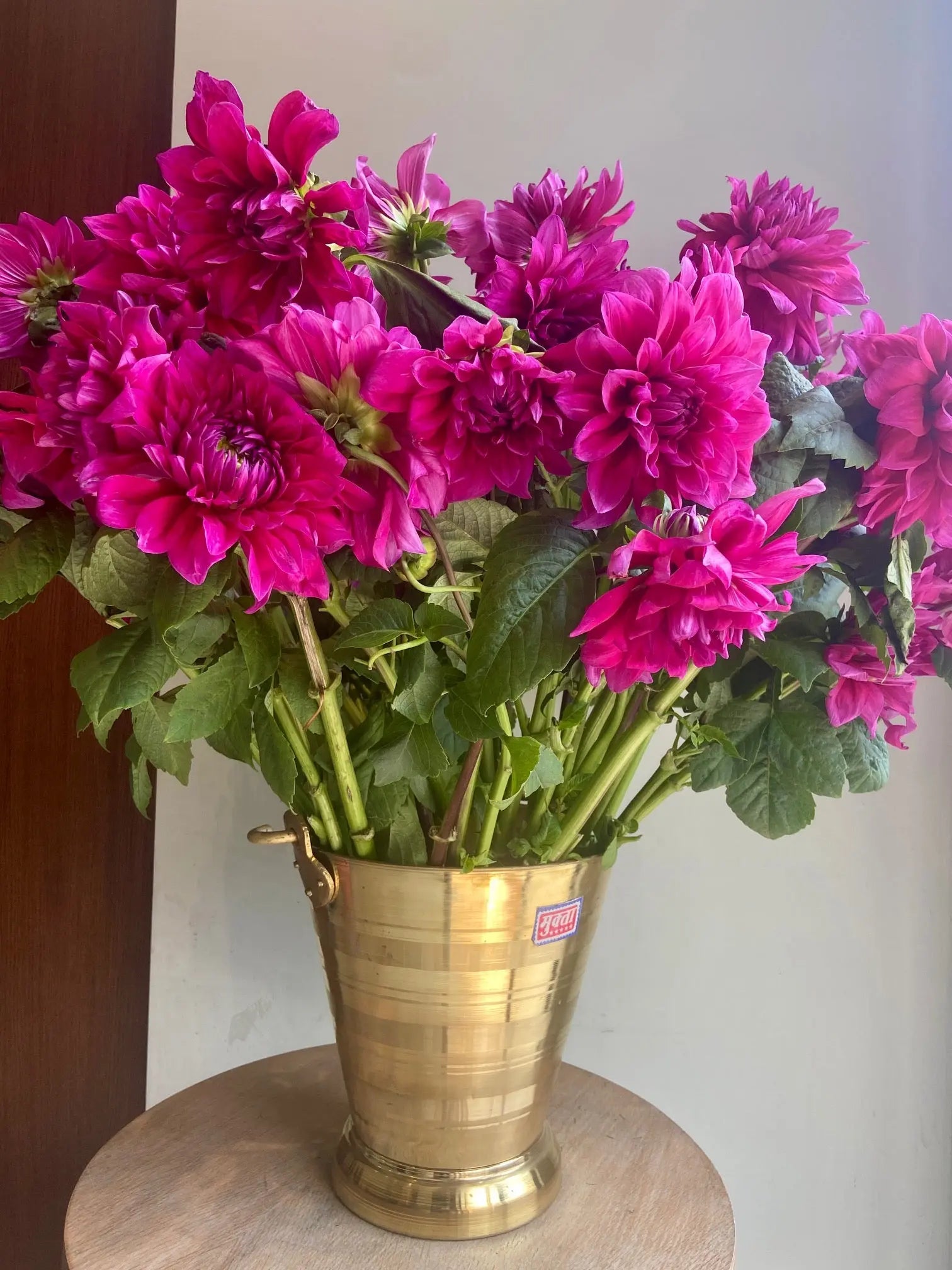 Dahlia 1magnolialane