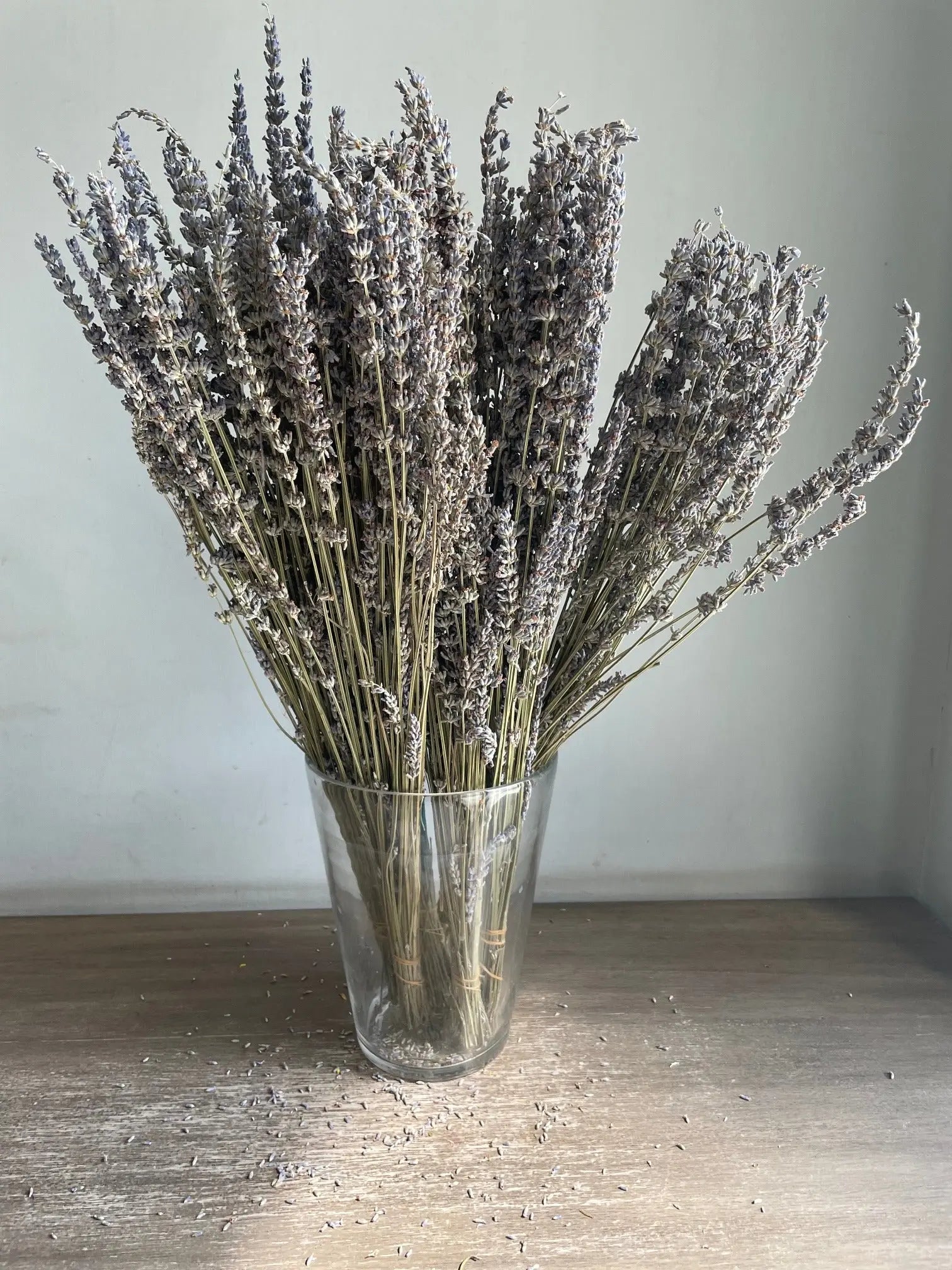 Dry Lavender 1magnolialane