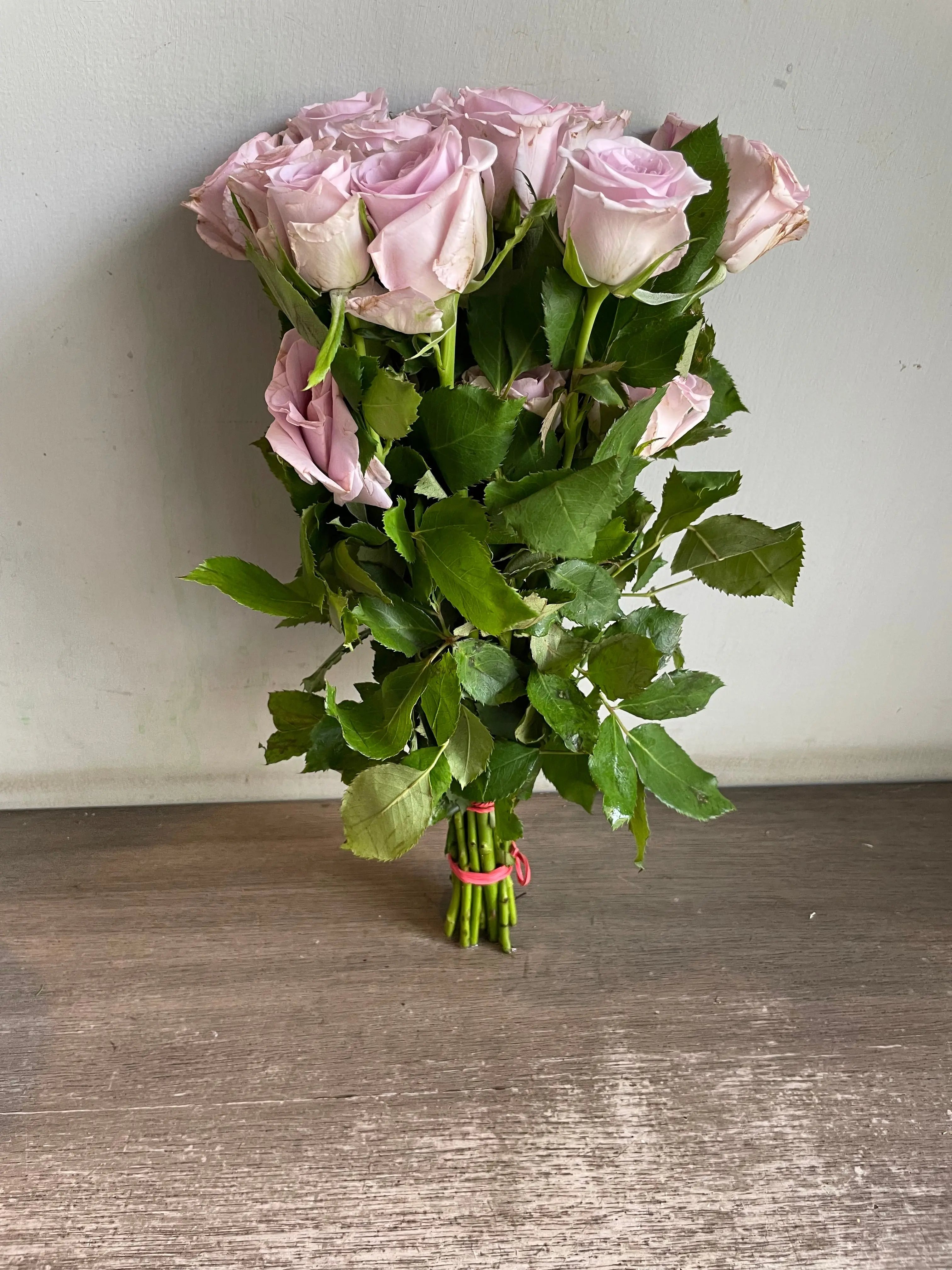 Rose 1magnolialane