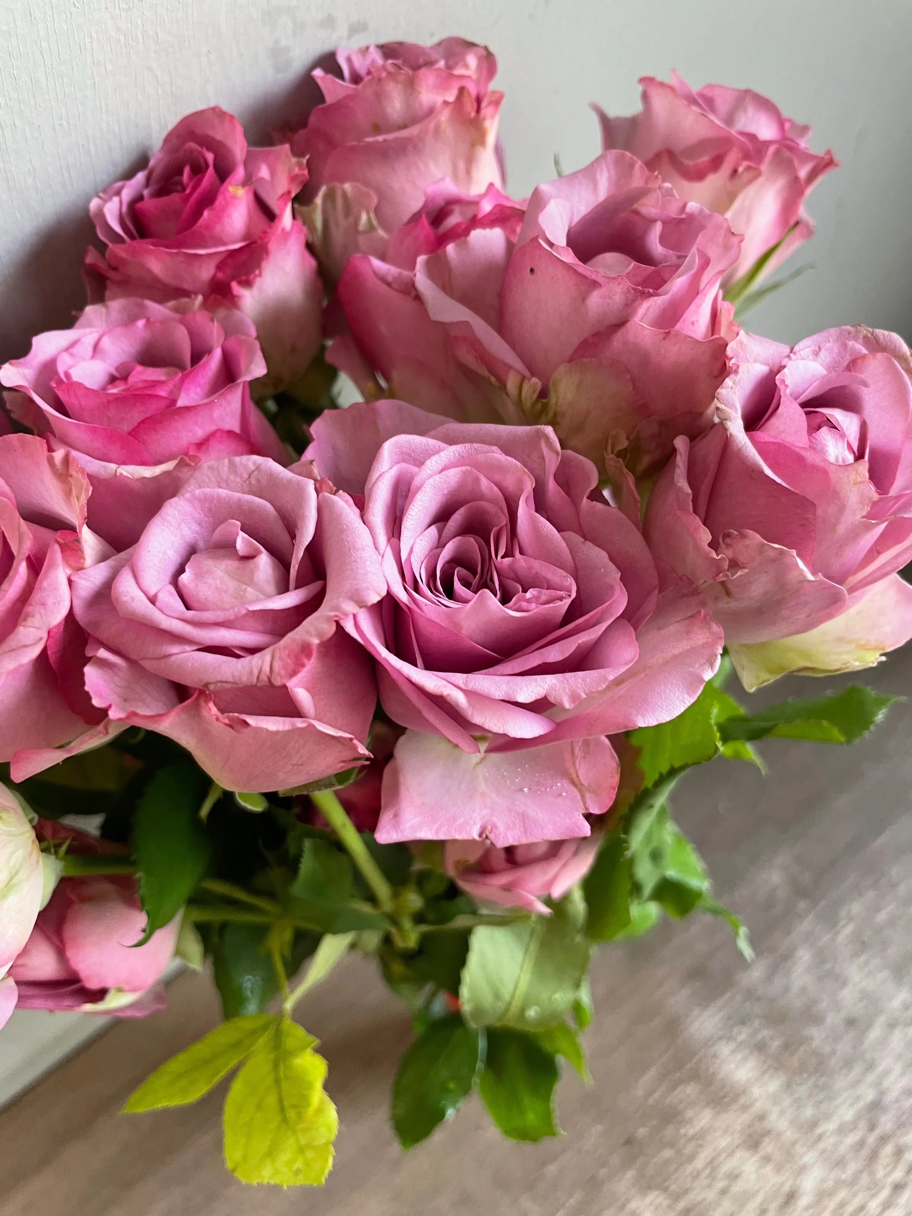 Rose 1magnolialane