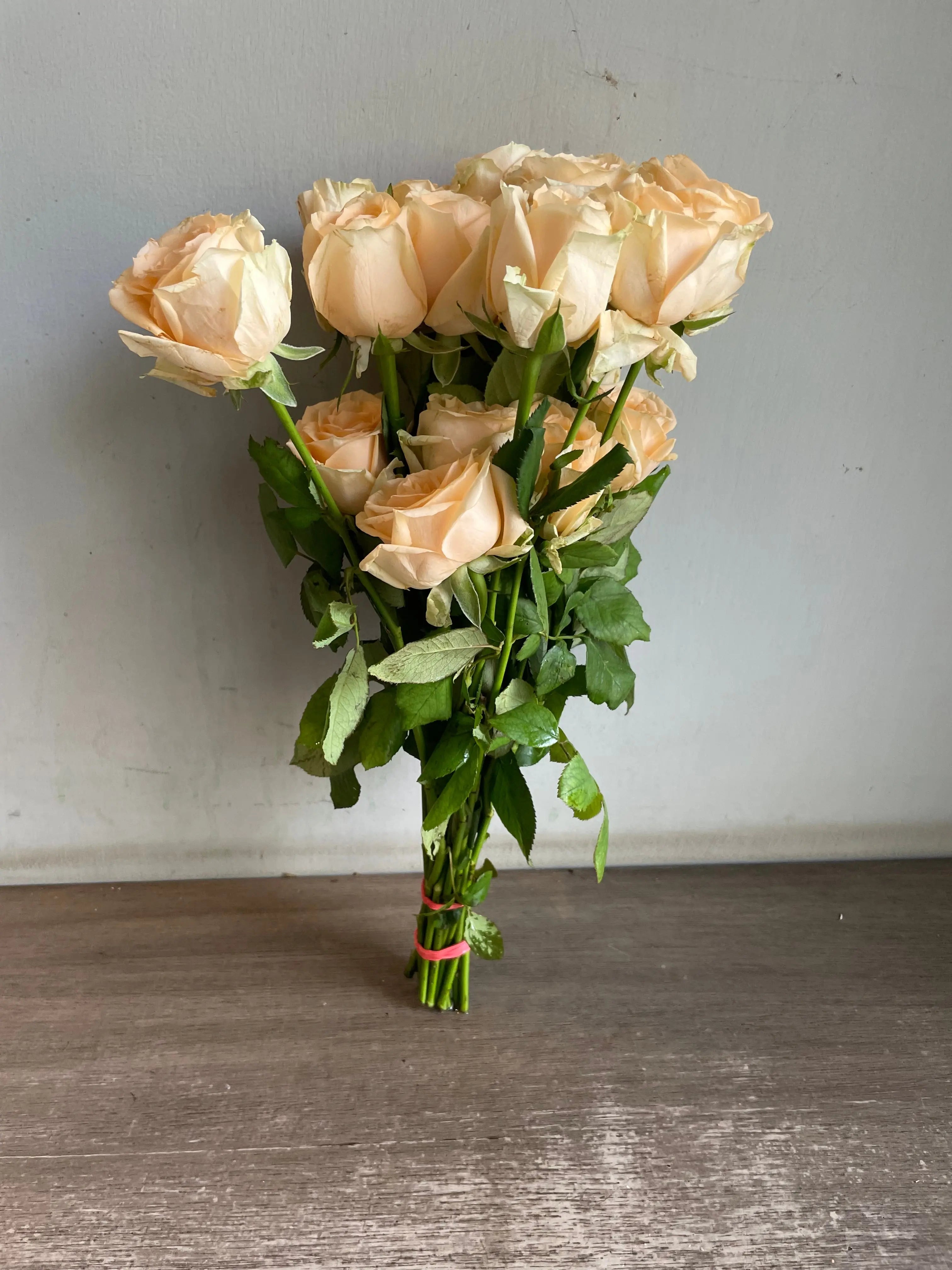 Rose 1magnolialane