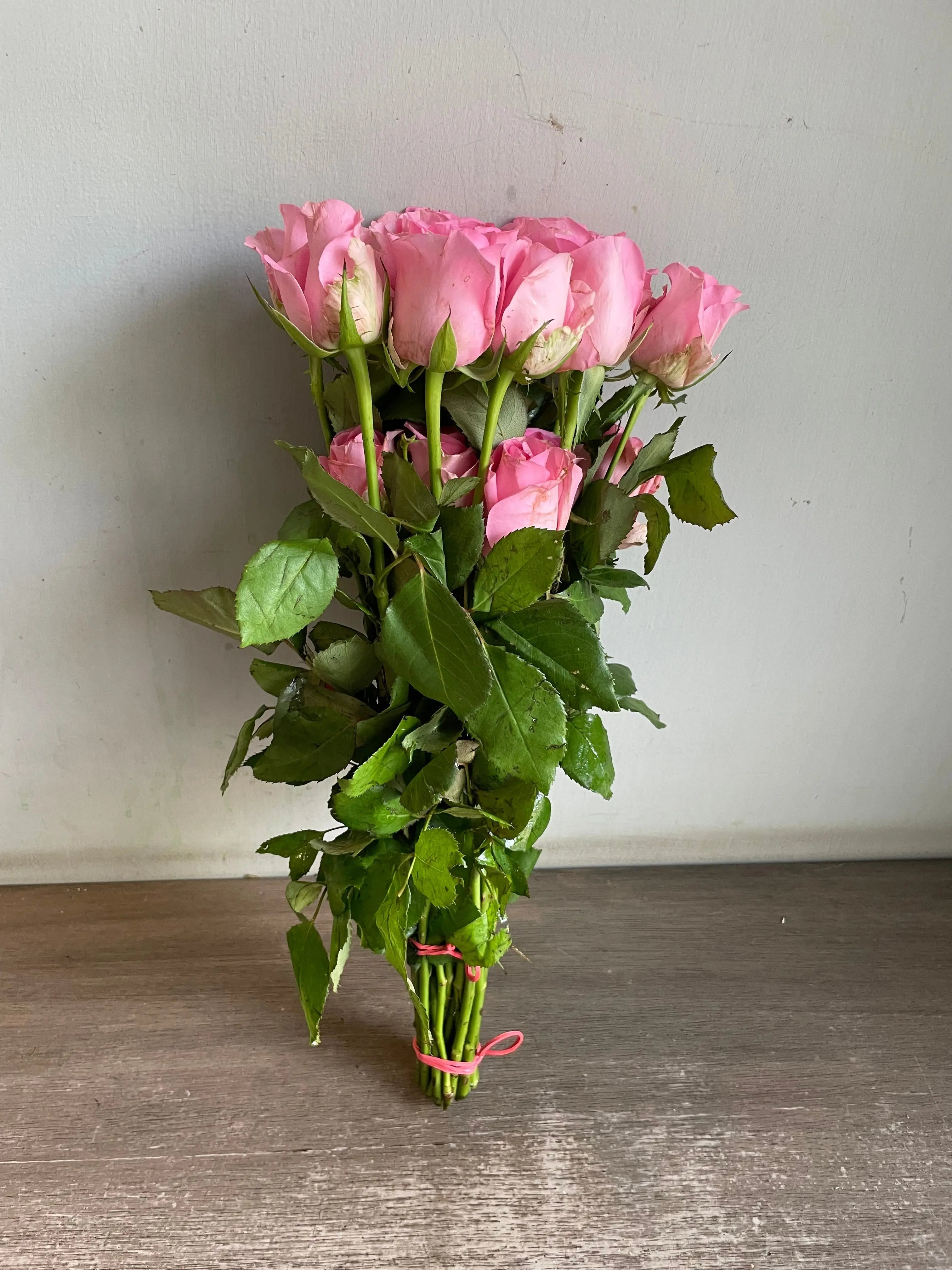 Rose 1magnolialane