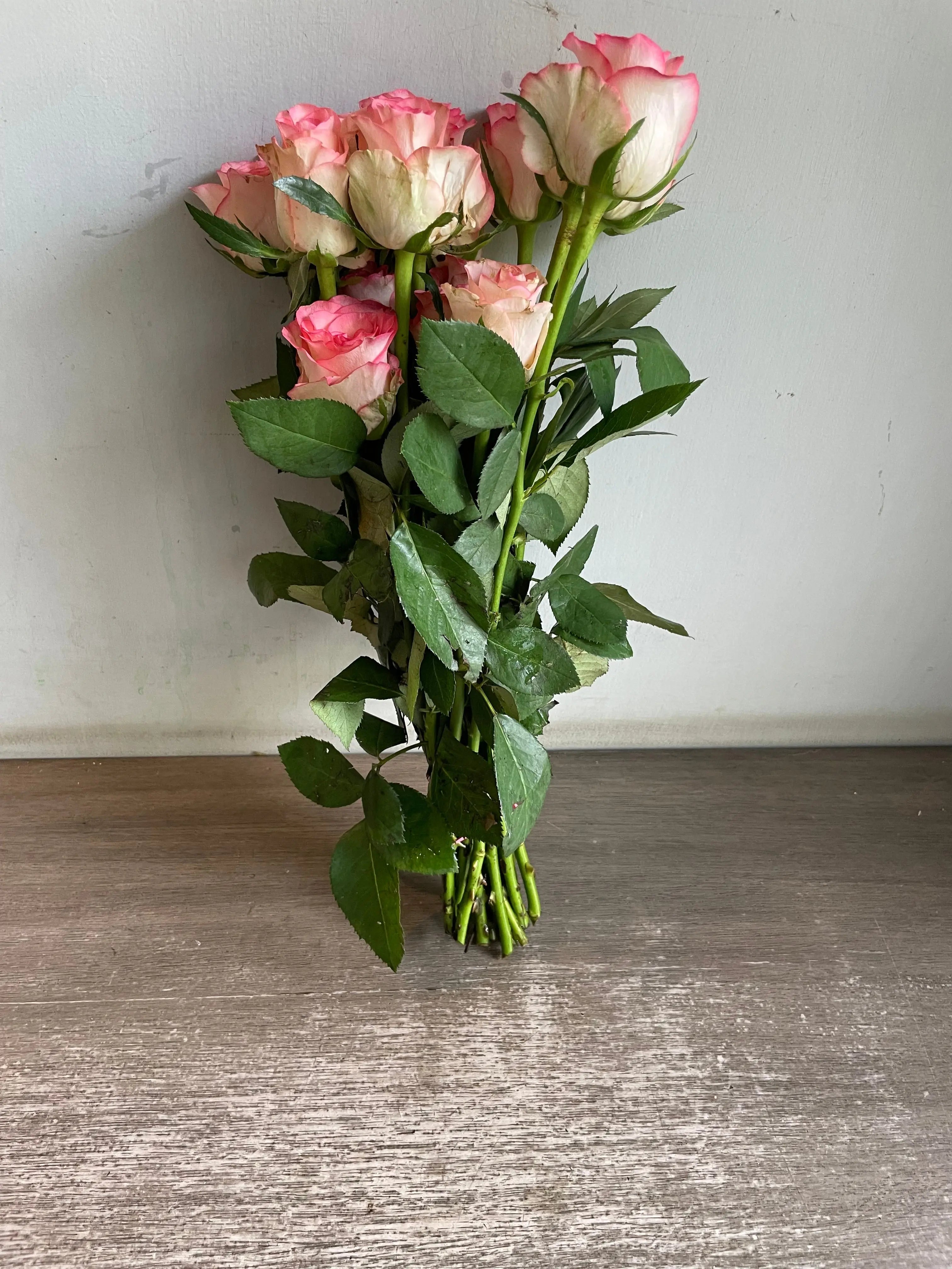 Rose 1magnolialane