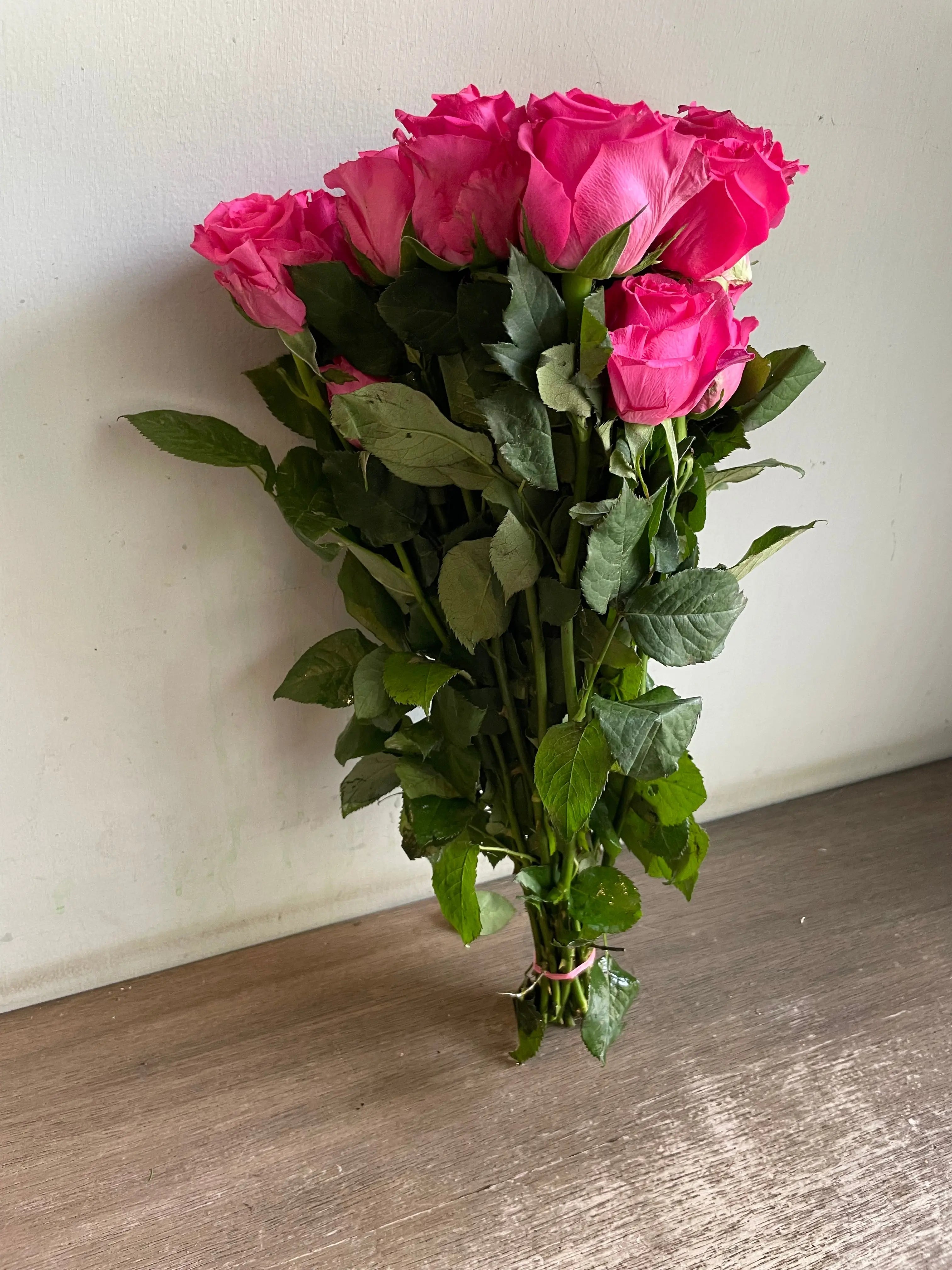 Rose 1magnolialane