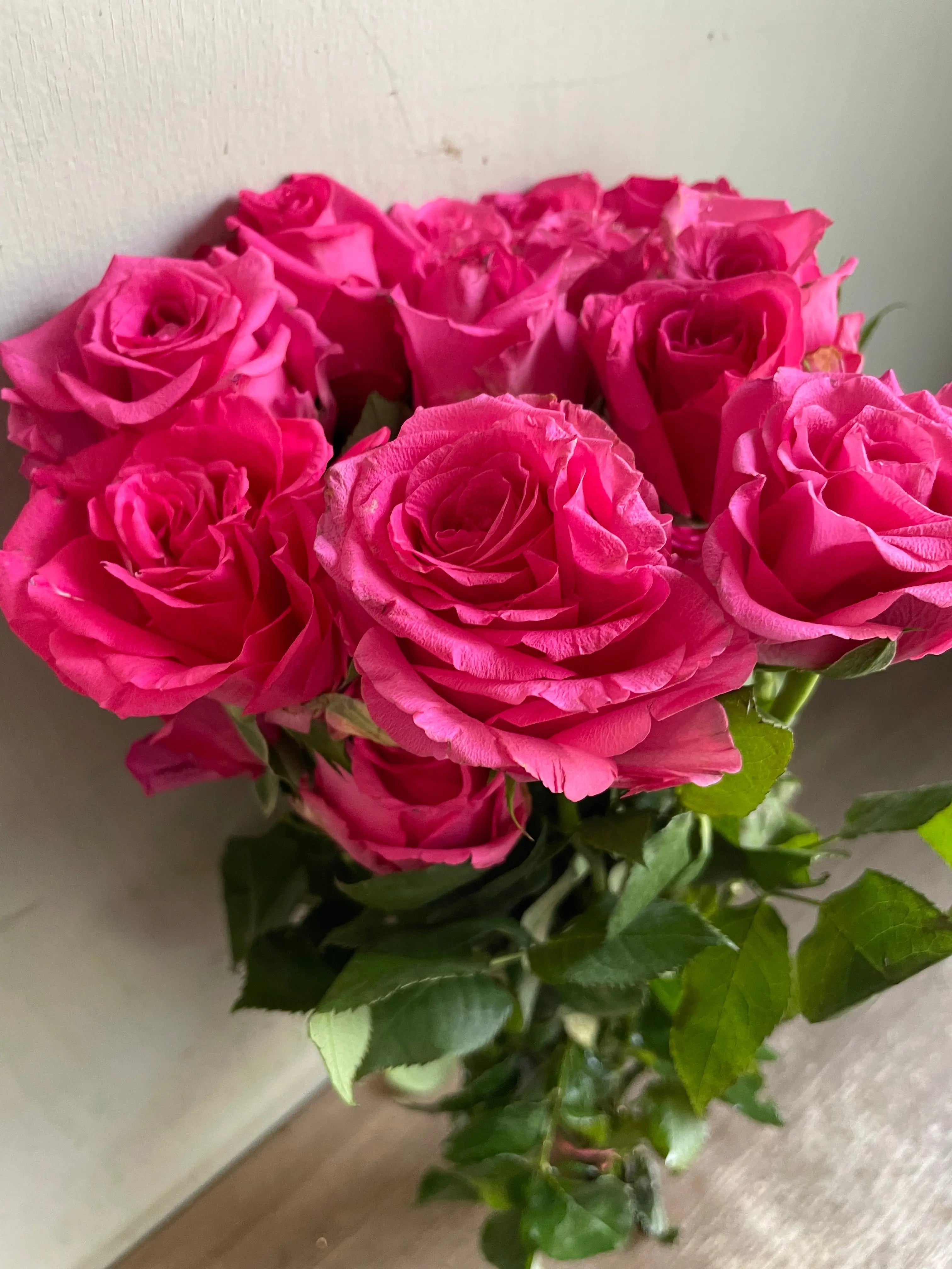 Rose 1magnolialane