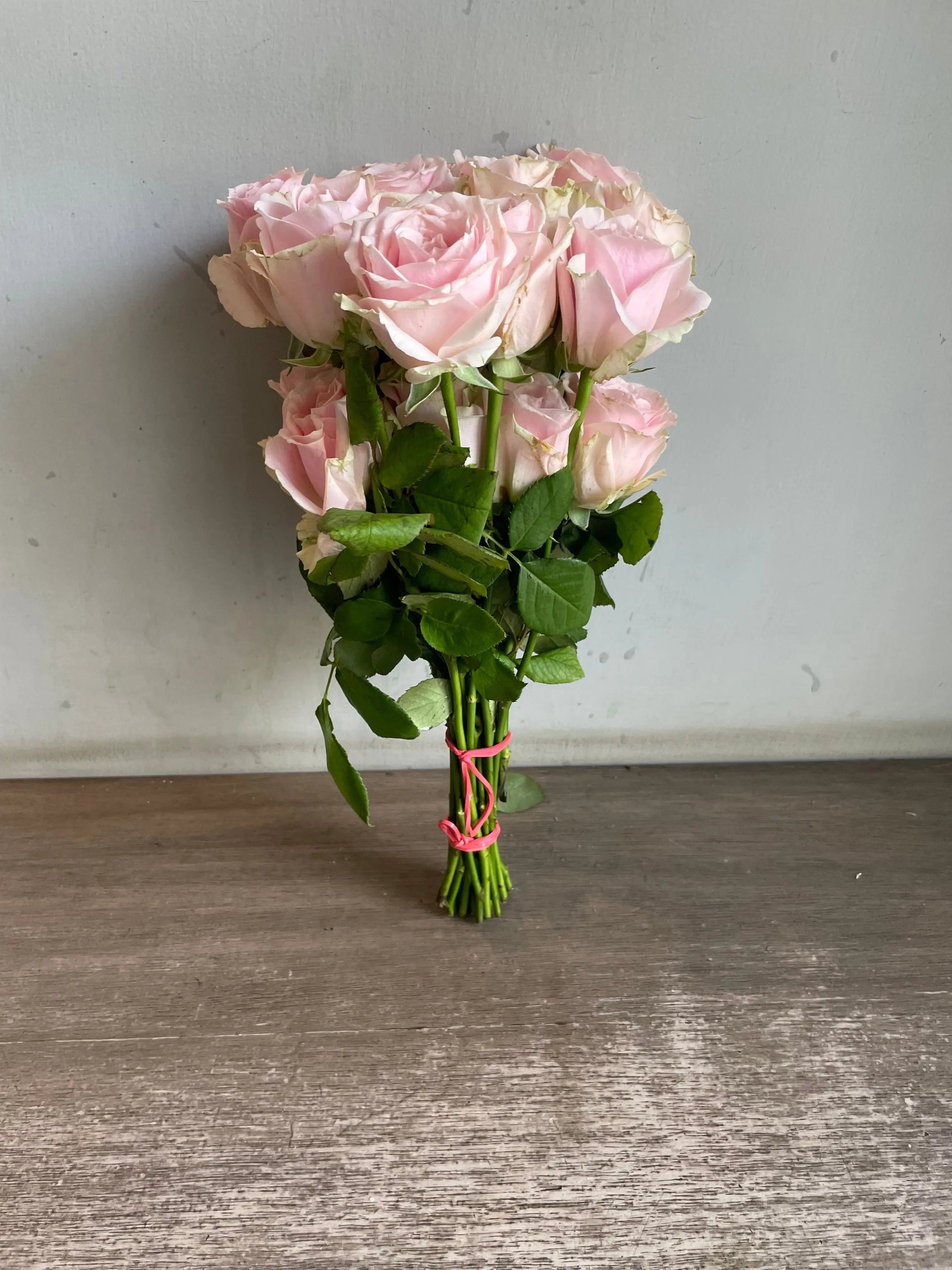 Rose 1magnolialane