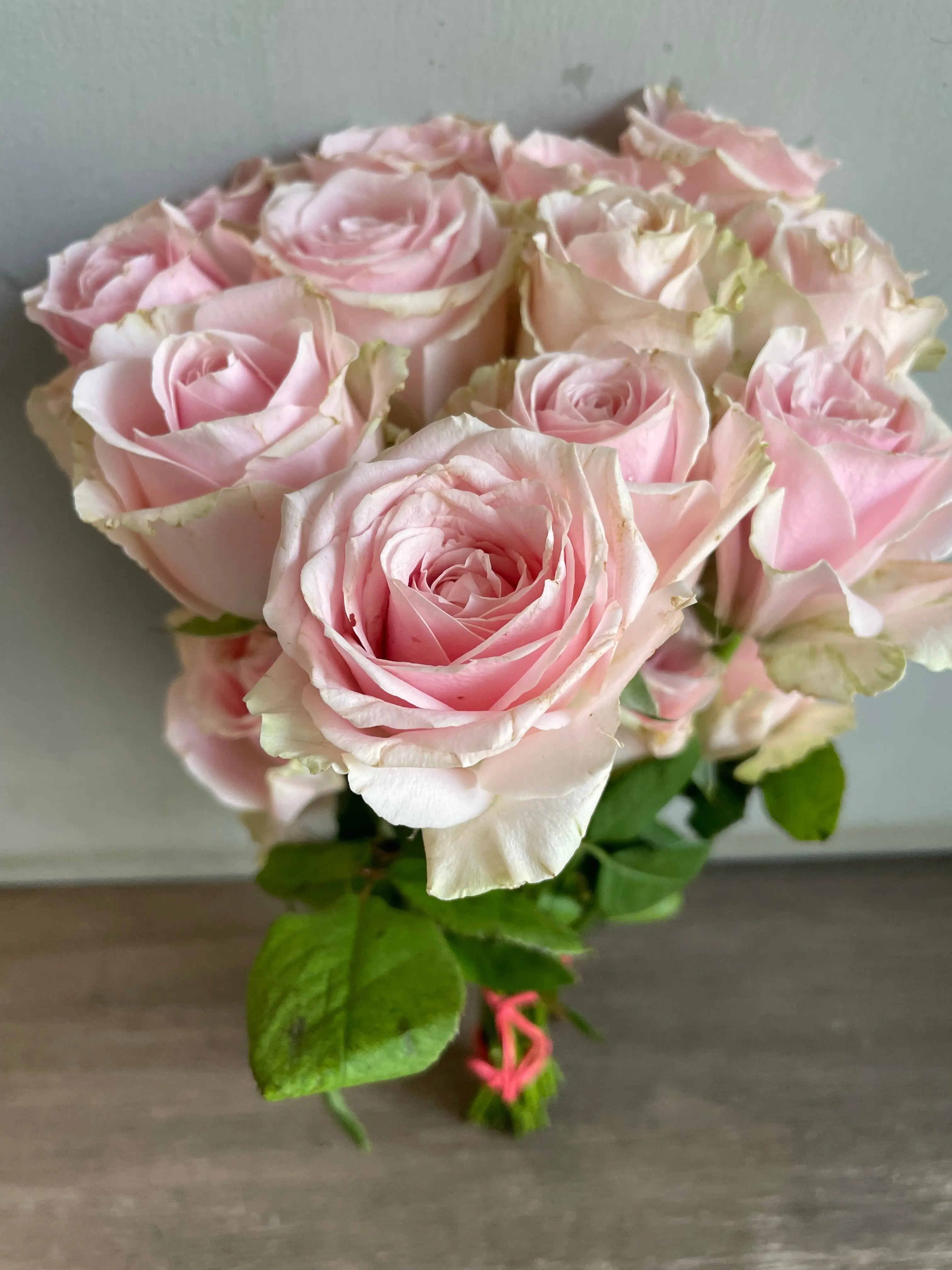 Rose 1magnolialane