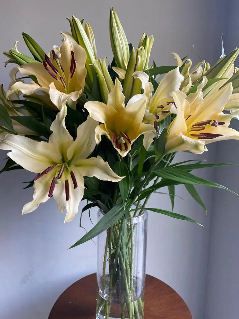 Oriental Lily 1magnolialane