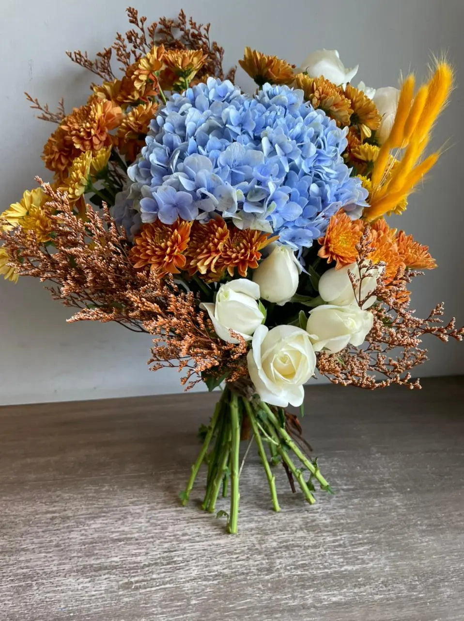 The Sheild 1magnolialane