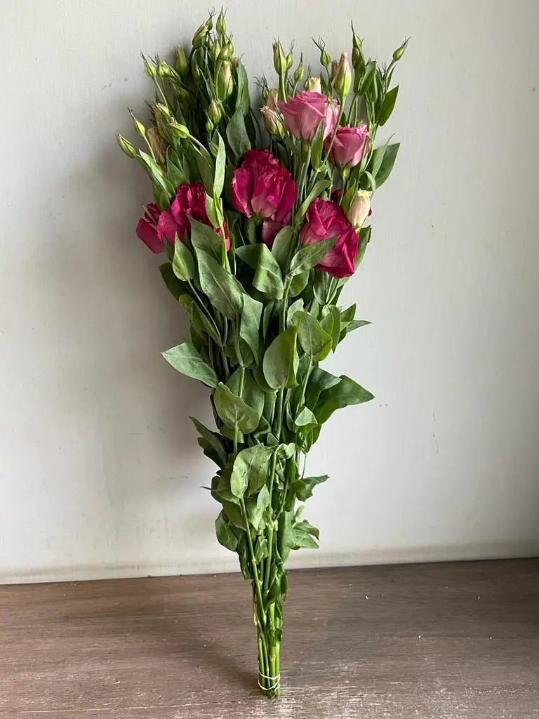 Lisianthus 1magnolialane