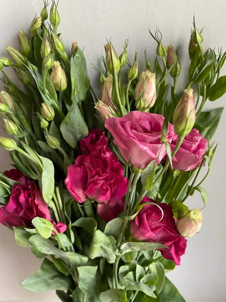 Lisianthus 1magnolialane