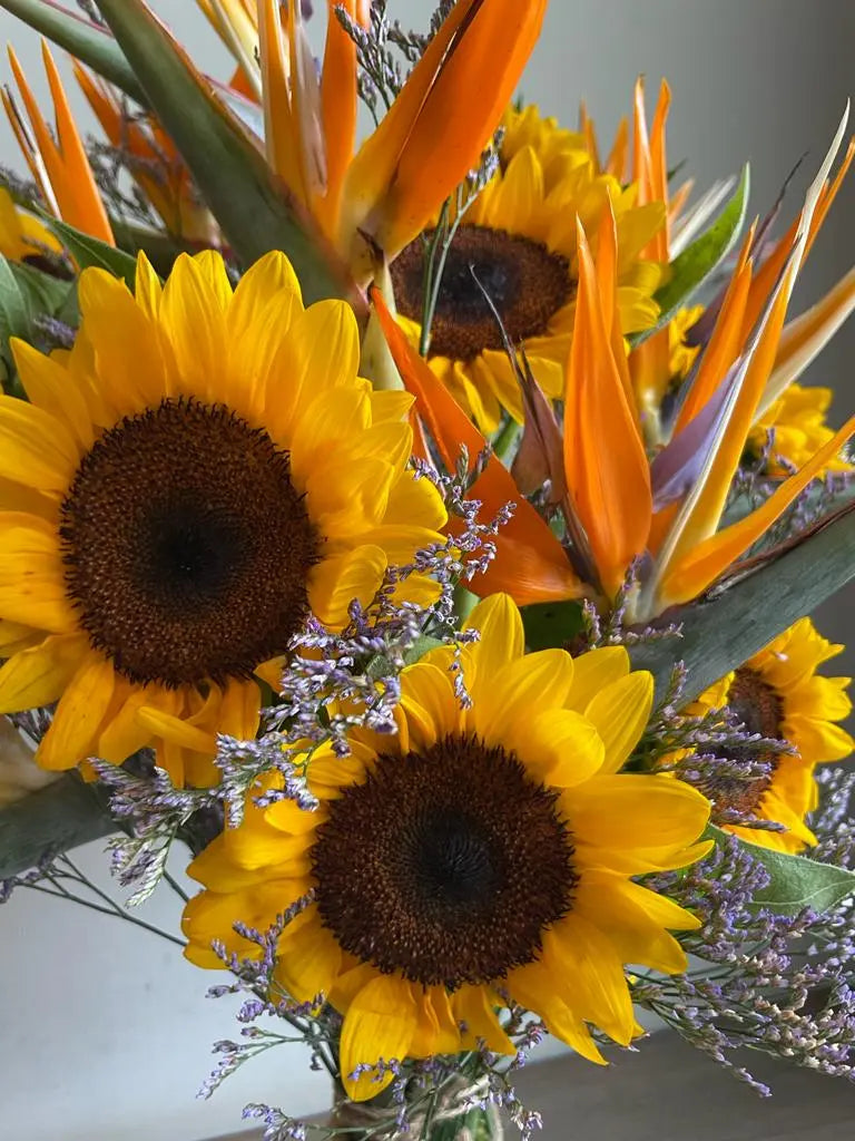 Petite Joy 1magnolialane