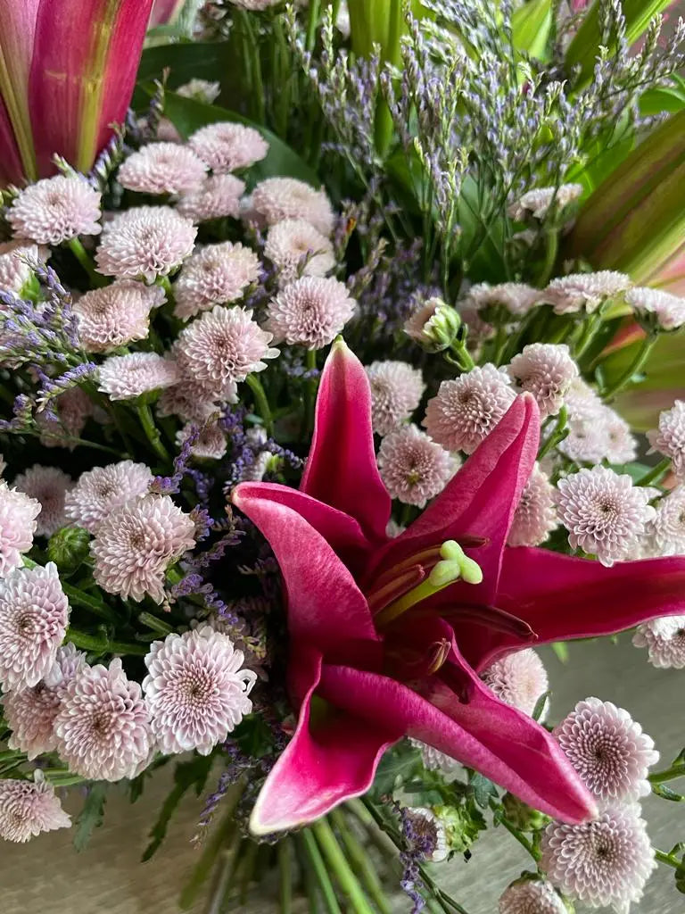 Las Felicite 1magnolialane