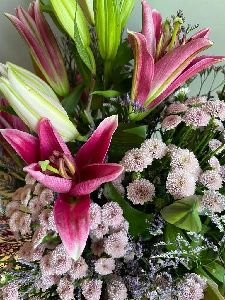 Las Felicite 1magnolialane