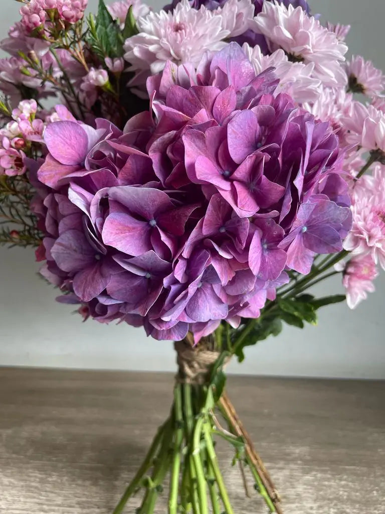 Pastel Paradise 1magnolialane