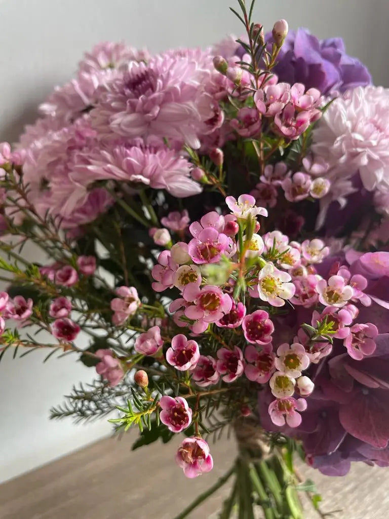 Pastel Paradise 1magnolialane