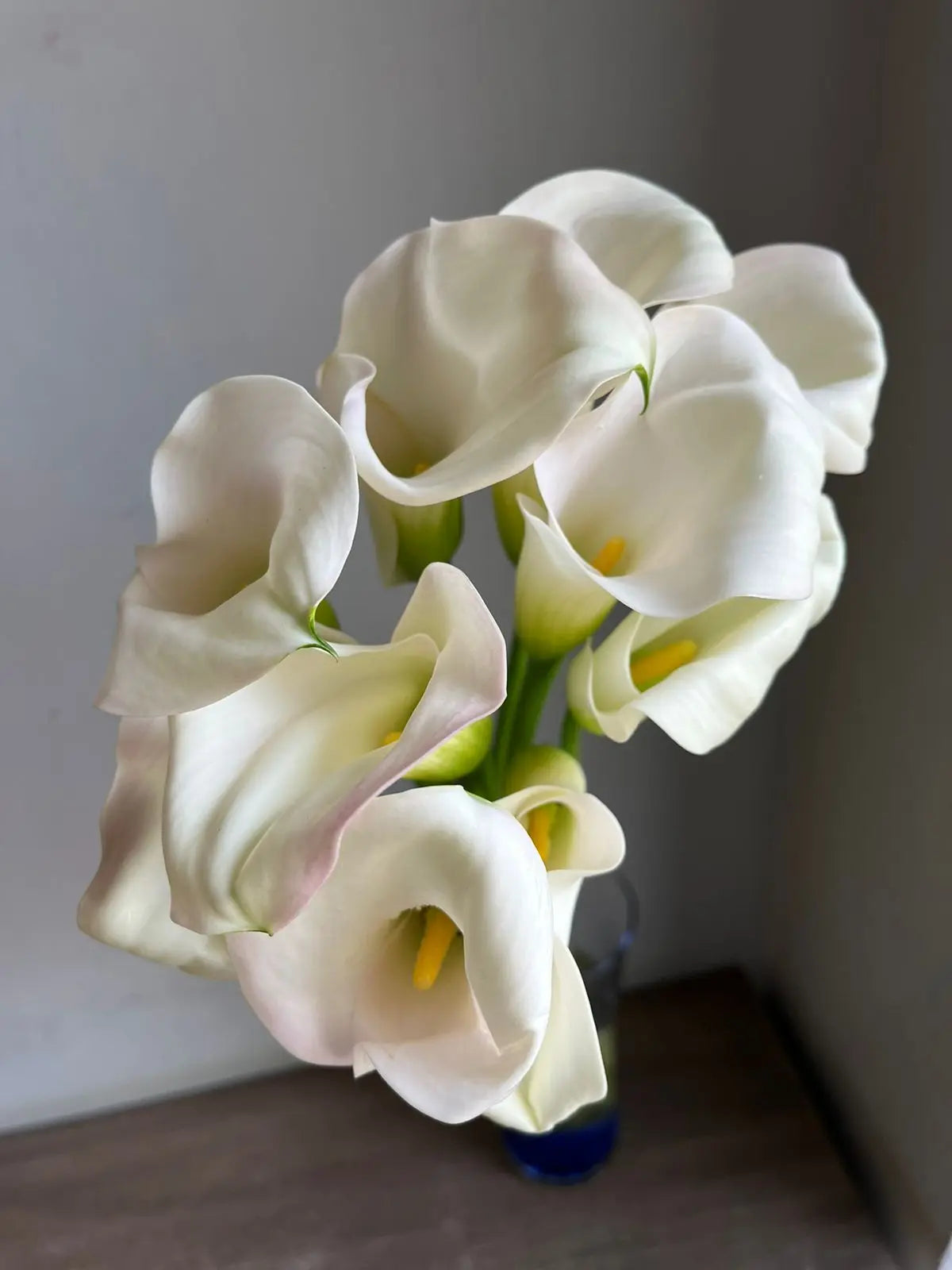 Calla Lily 1magnolialane