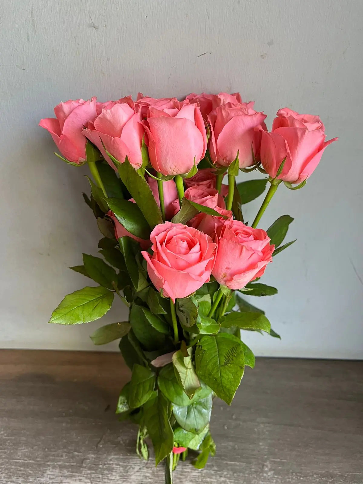 Rose 1magnolialane