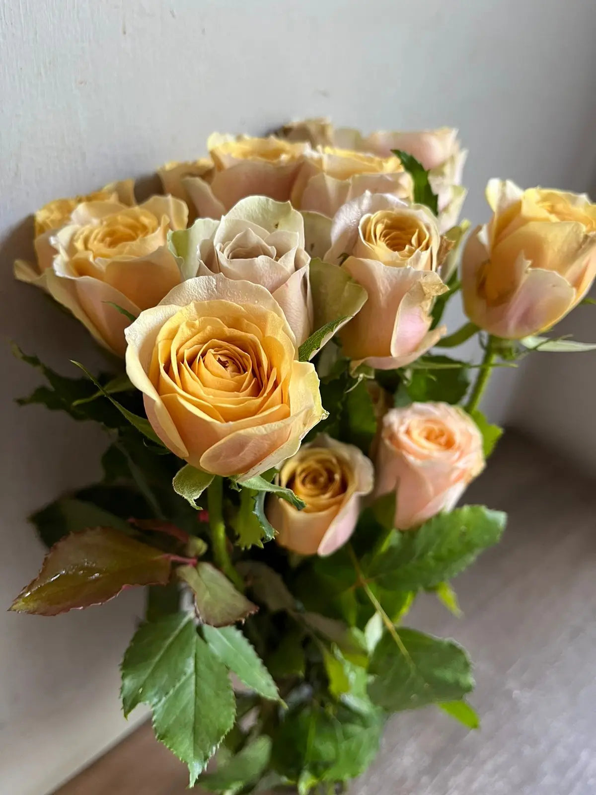 Rose 1magnolialane