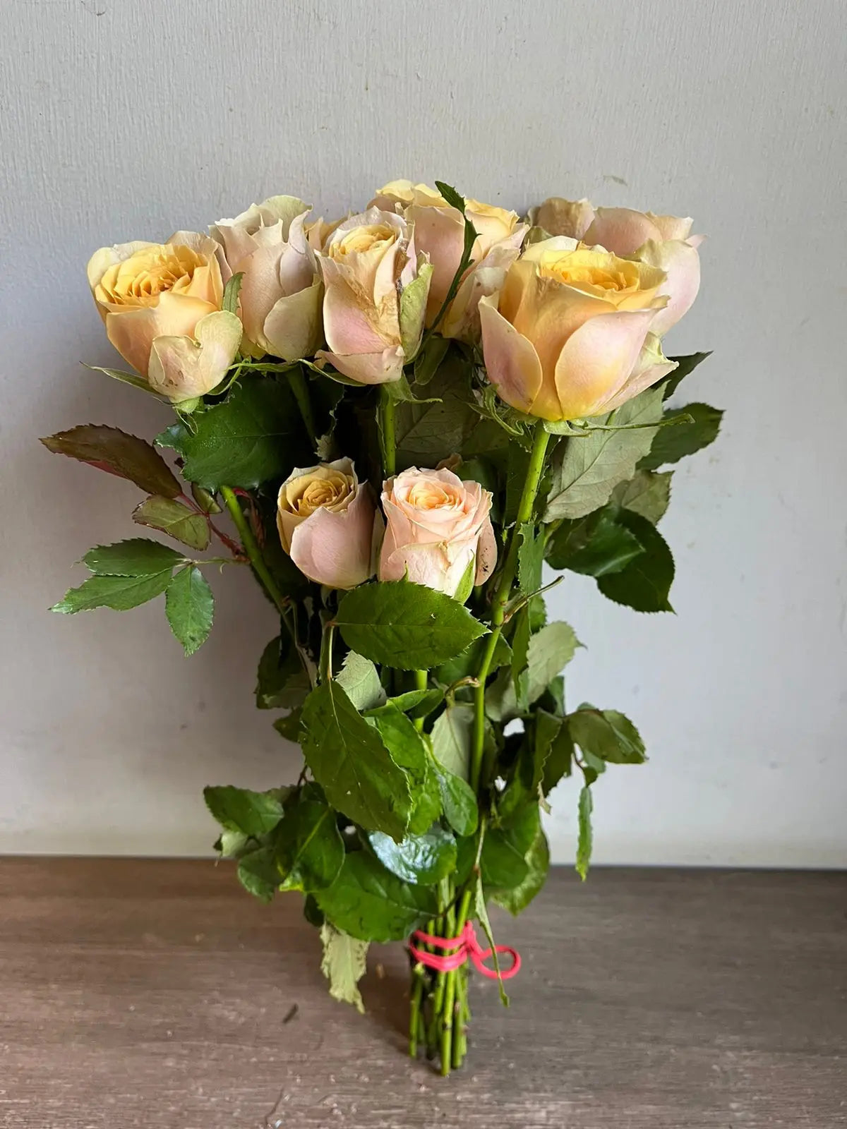 Rose 1magnolialane