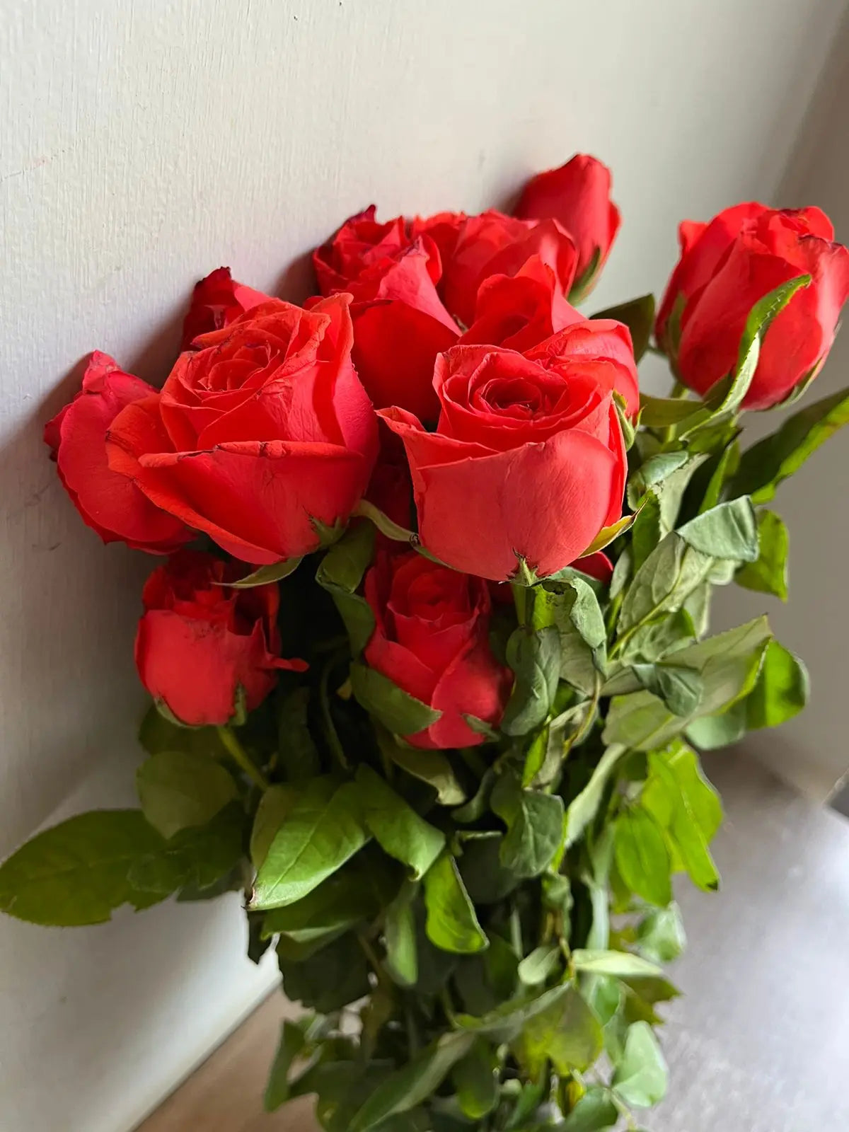 Rose 1magnolialane