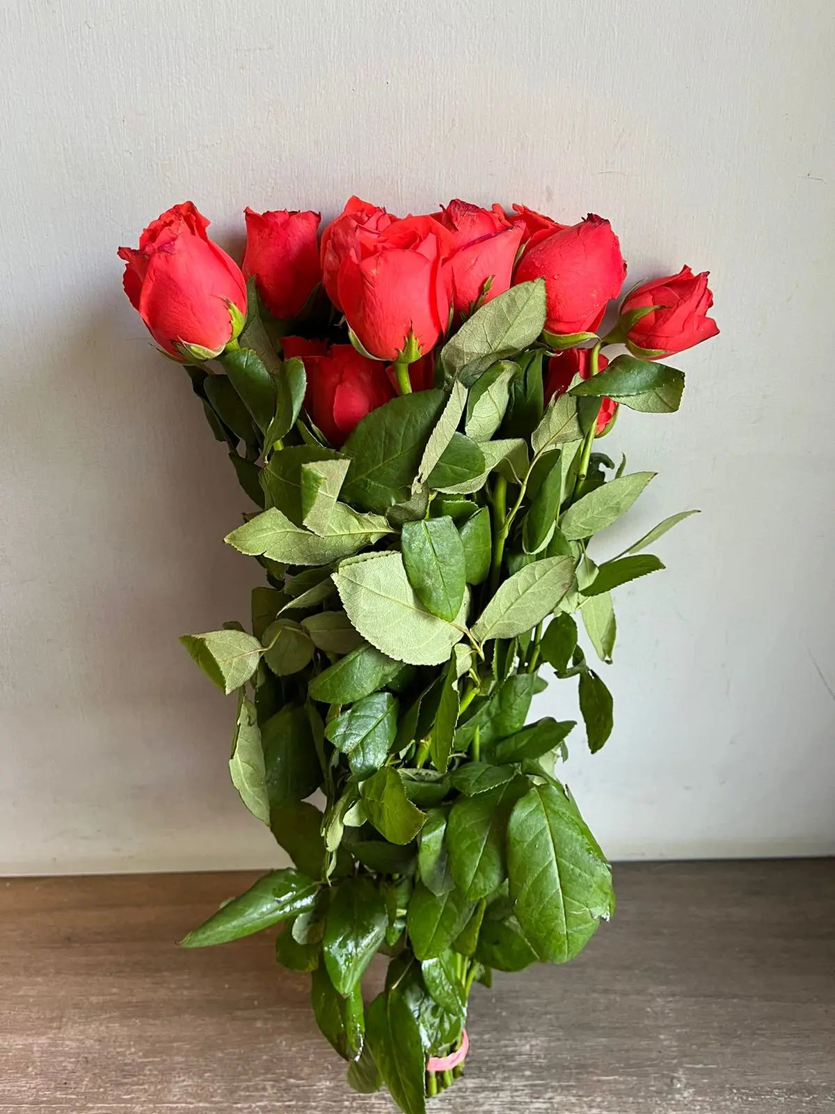 Rose 1magnolialane