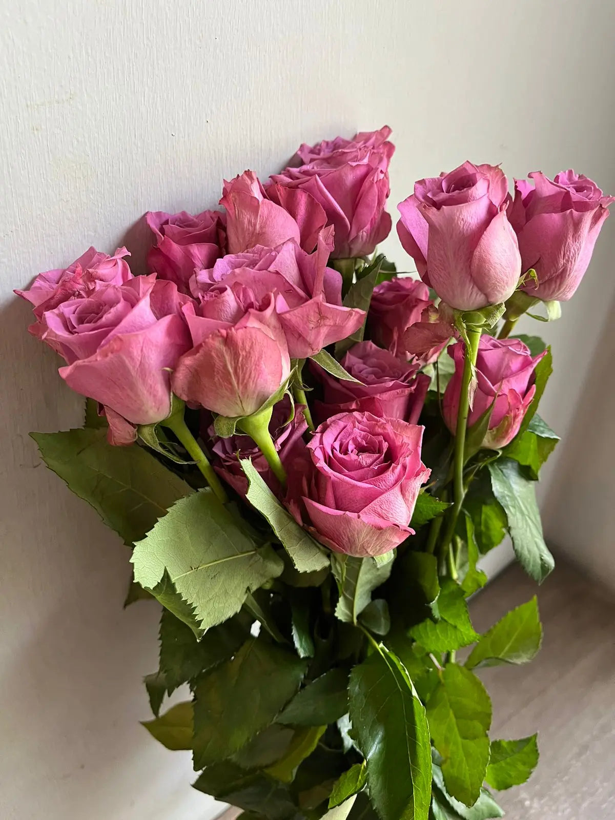 Rose 1magnolialane