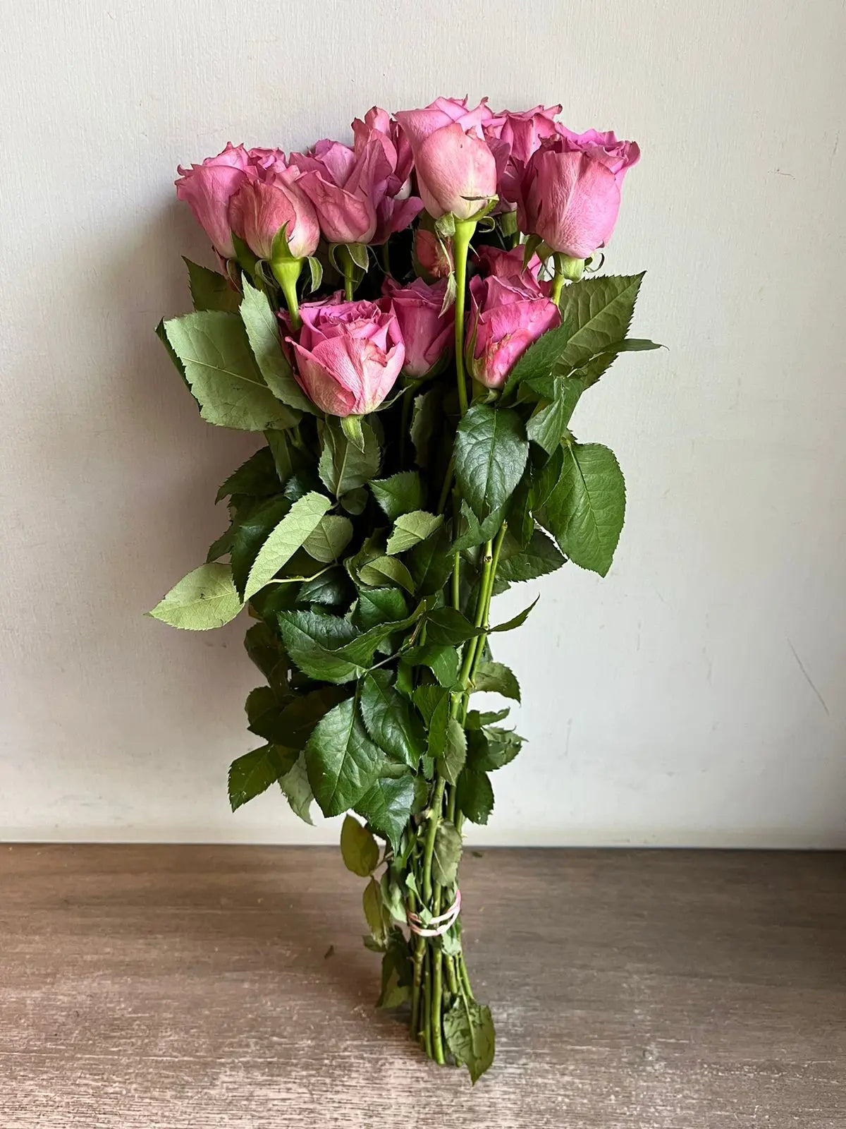 Rose 1magnolialane