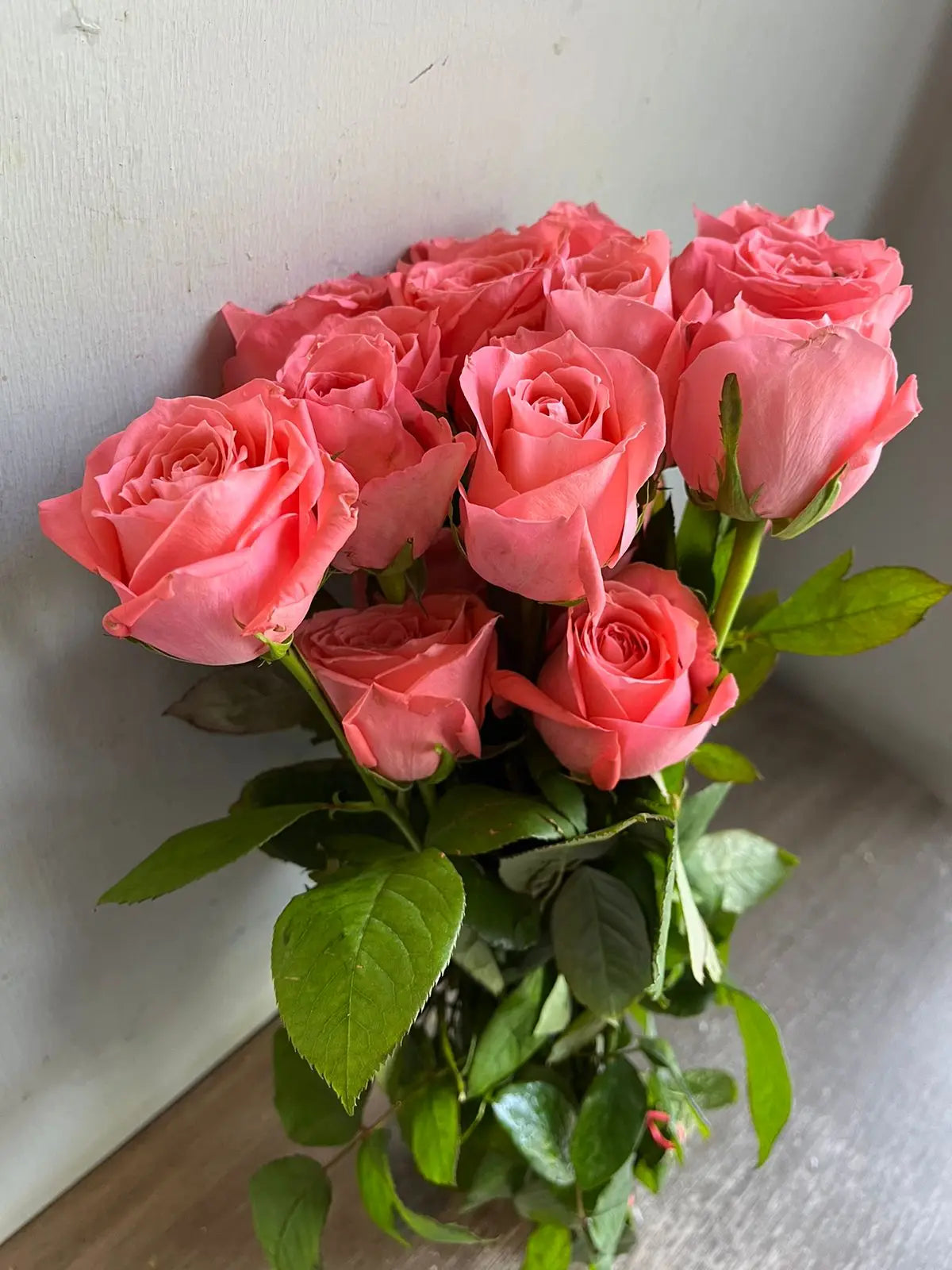 Rose 1magnolialane