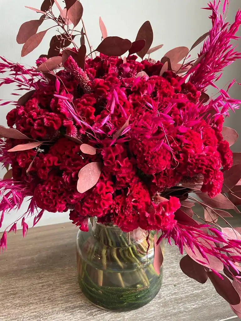 Aeindri 1magnolialane