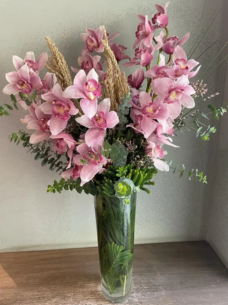 Star Anise 1magnolialane