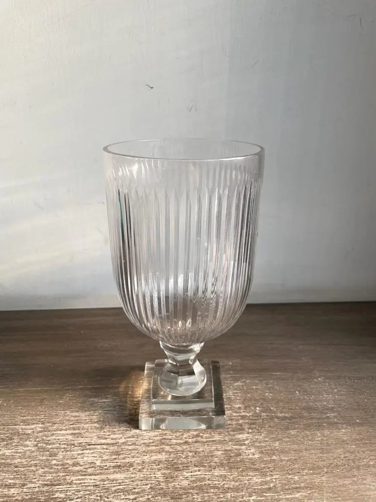 Winter Sun 1magnolialane