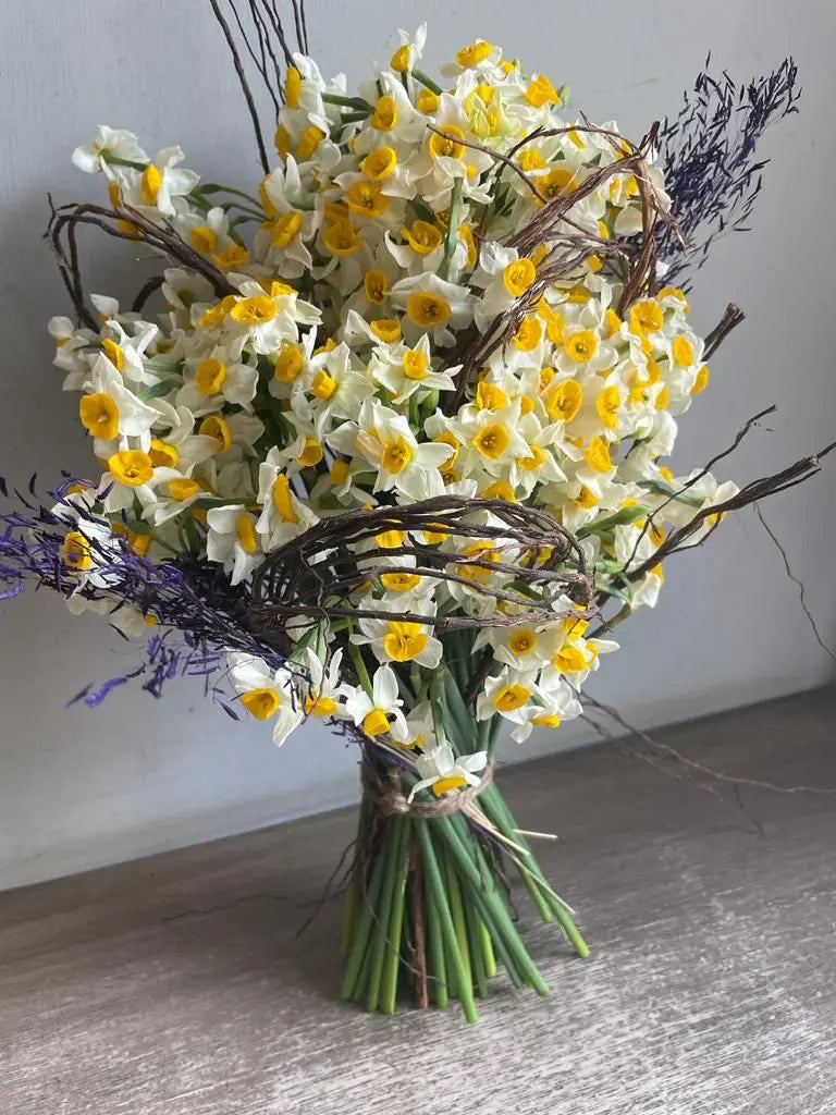 Poet’s Daffodil 1magnolialane