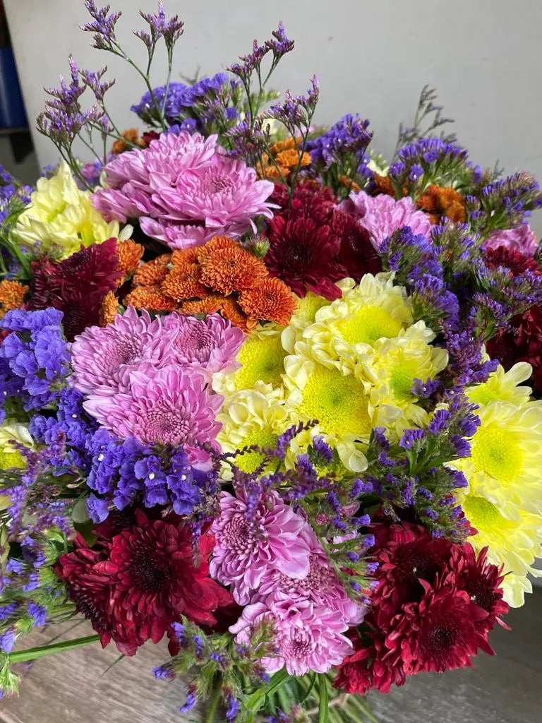 Whoopsidaisies 1magnolialane