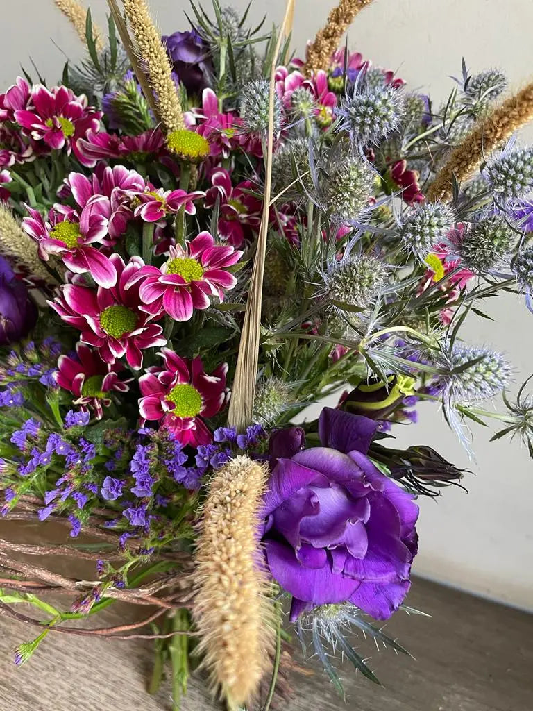 Sanguine 1magnolialane