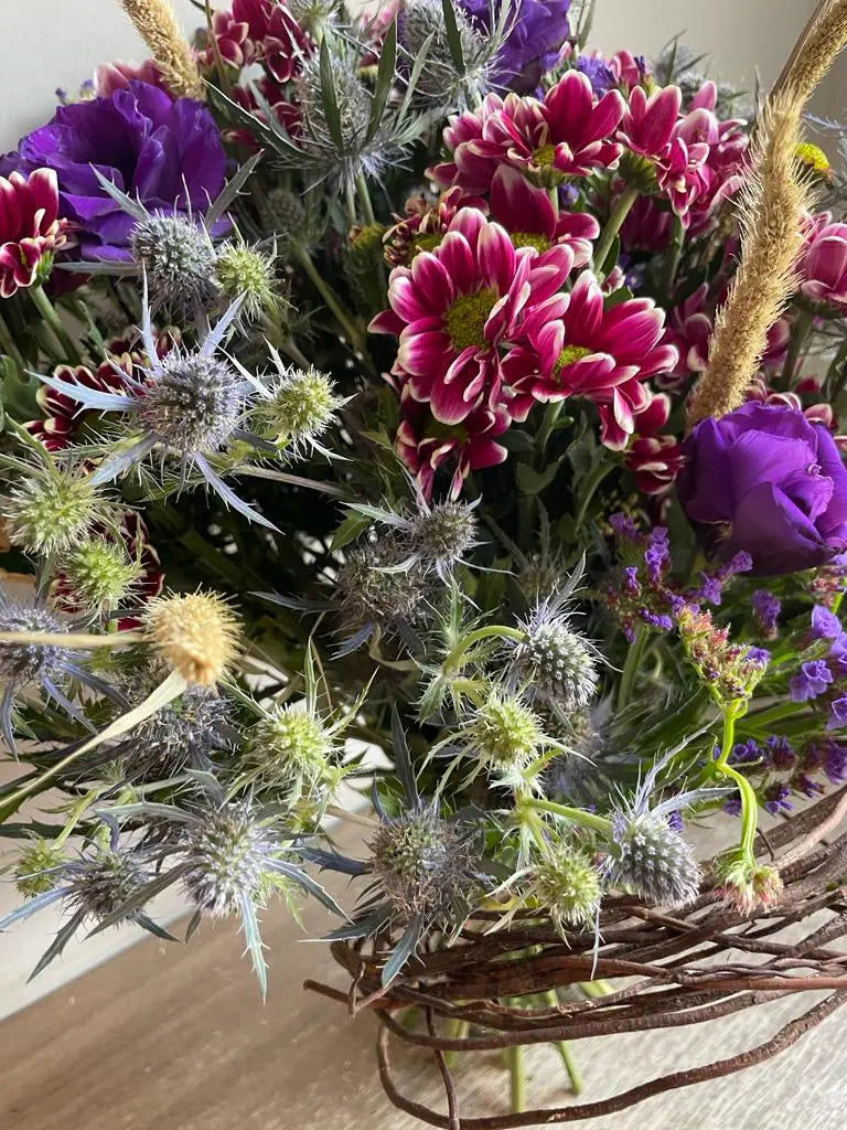 Sanguine 1magnolialane