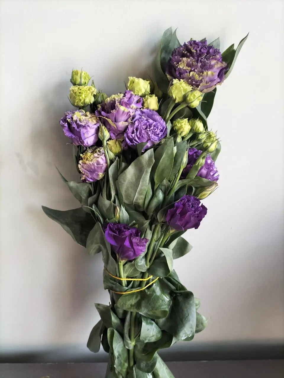 Lisianthus 1magnolialane