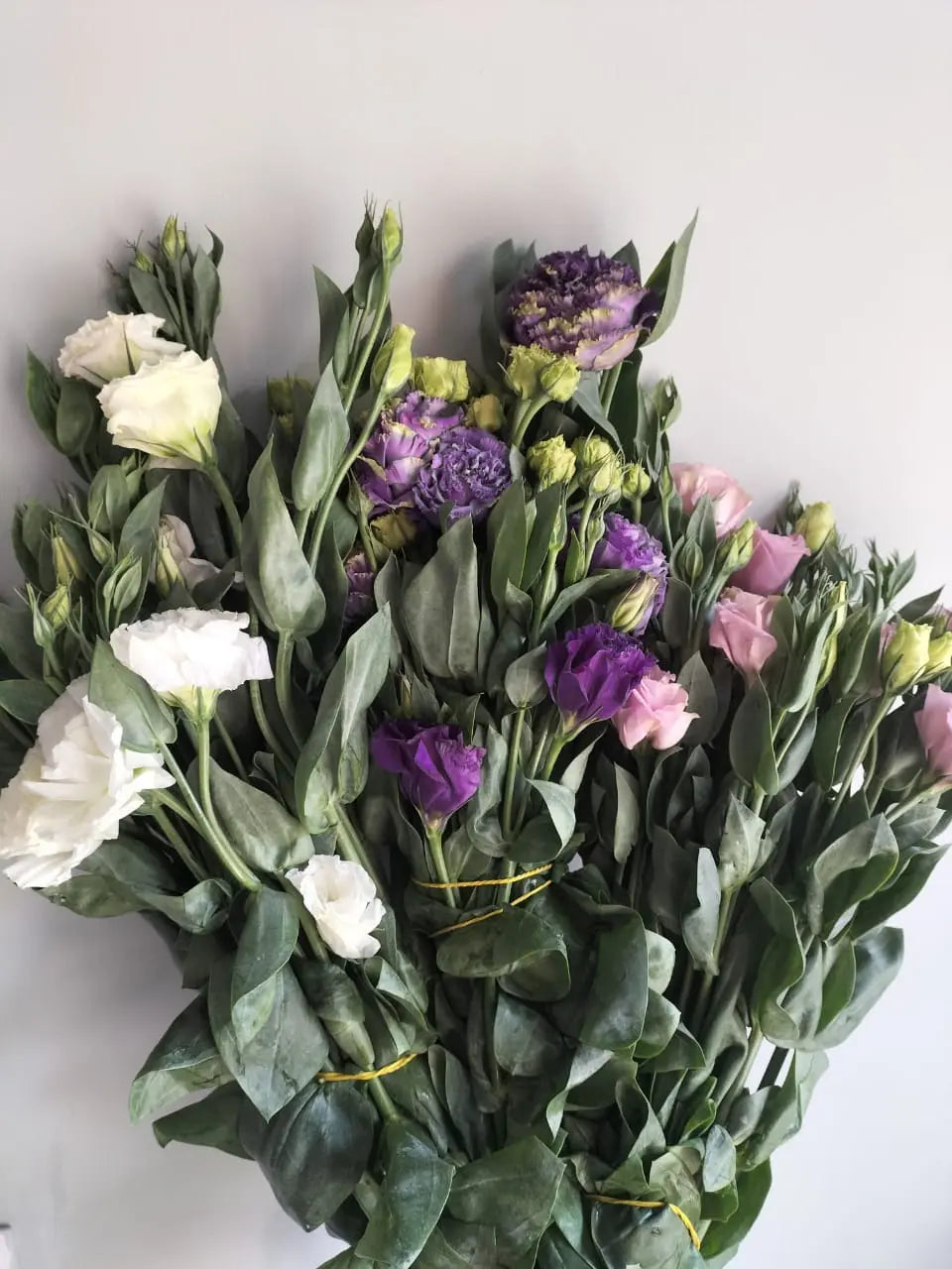 Lisianthus 1magnolialane