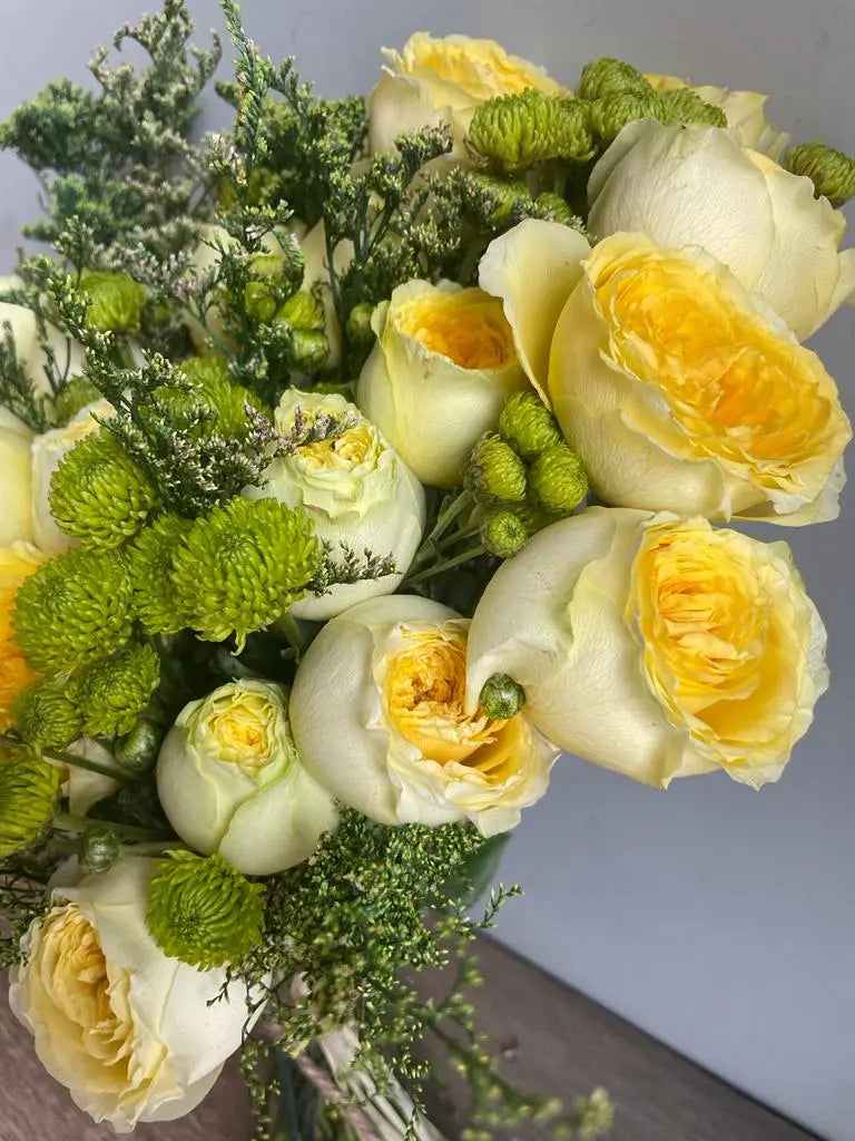 Genesis 1magnolialane