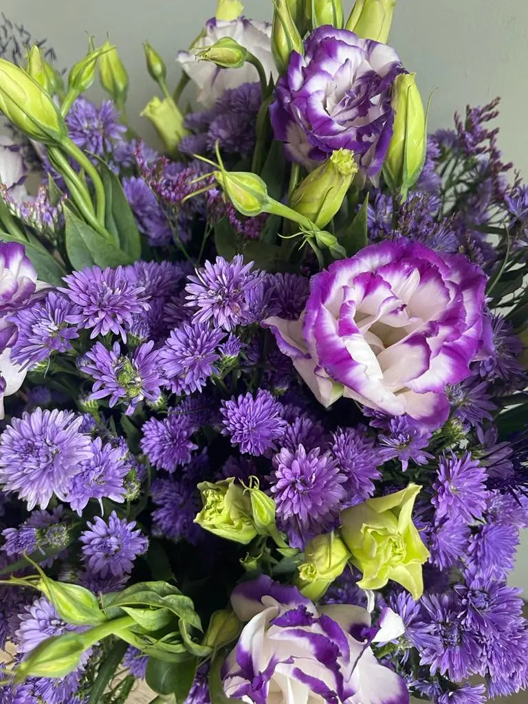 Purple Dawn 1magnolialane