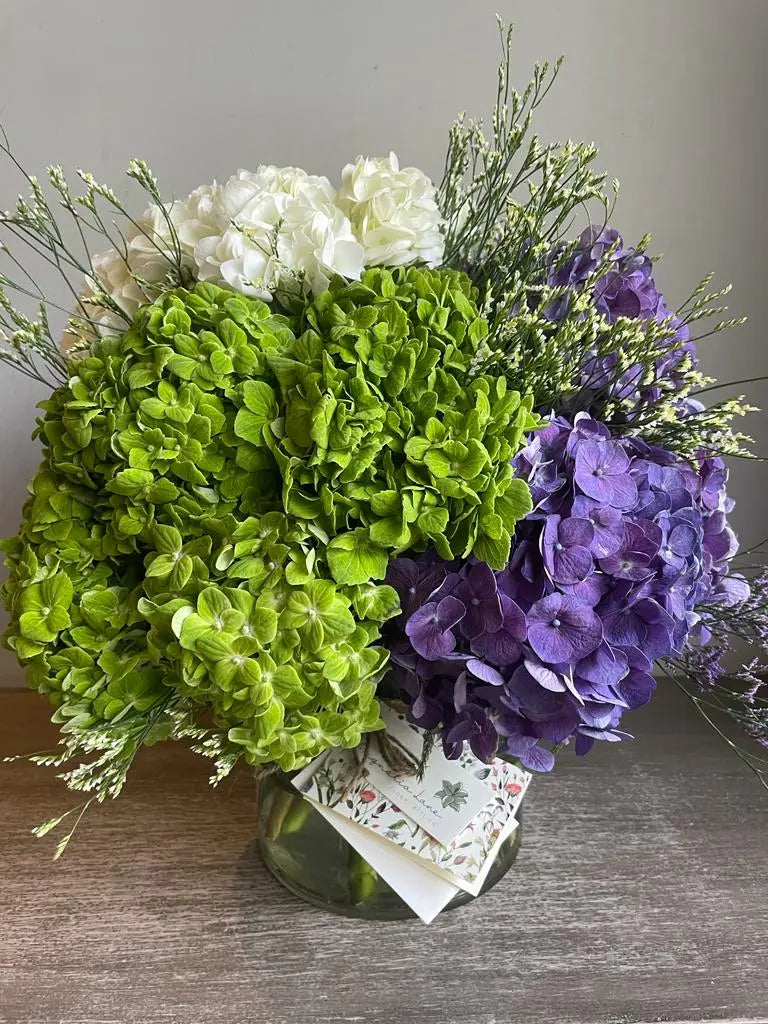 Hydrangea 1magnolialane