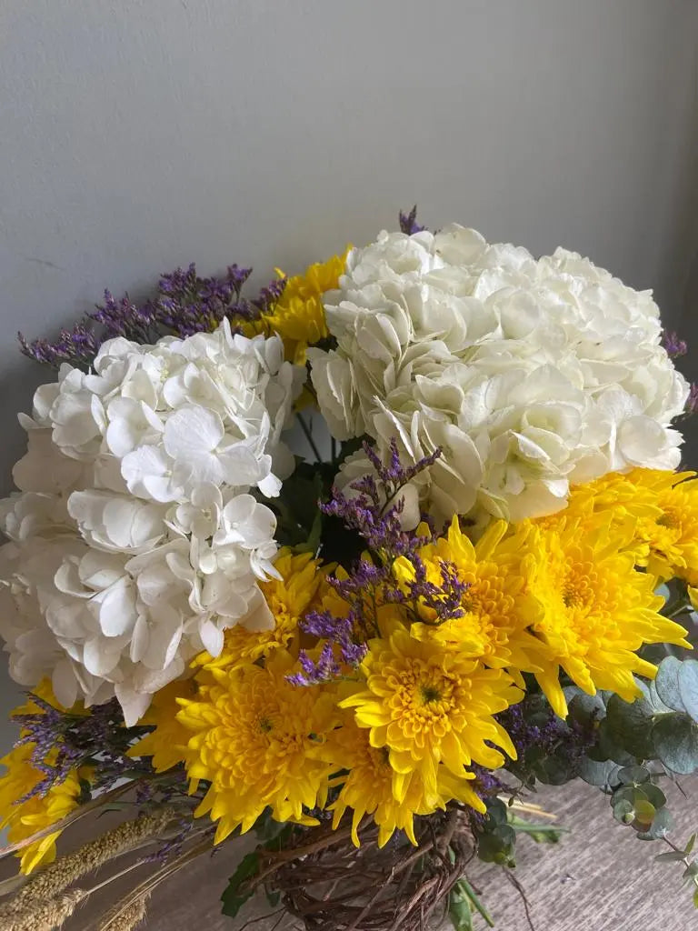 Marshmallow 1magnolialane